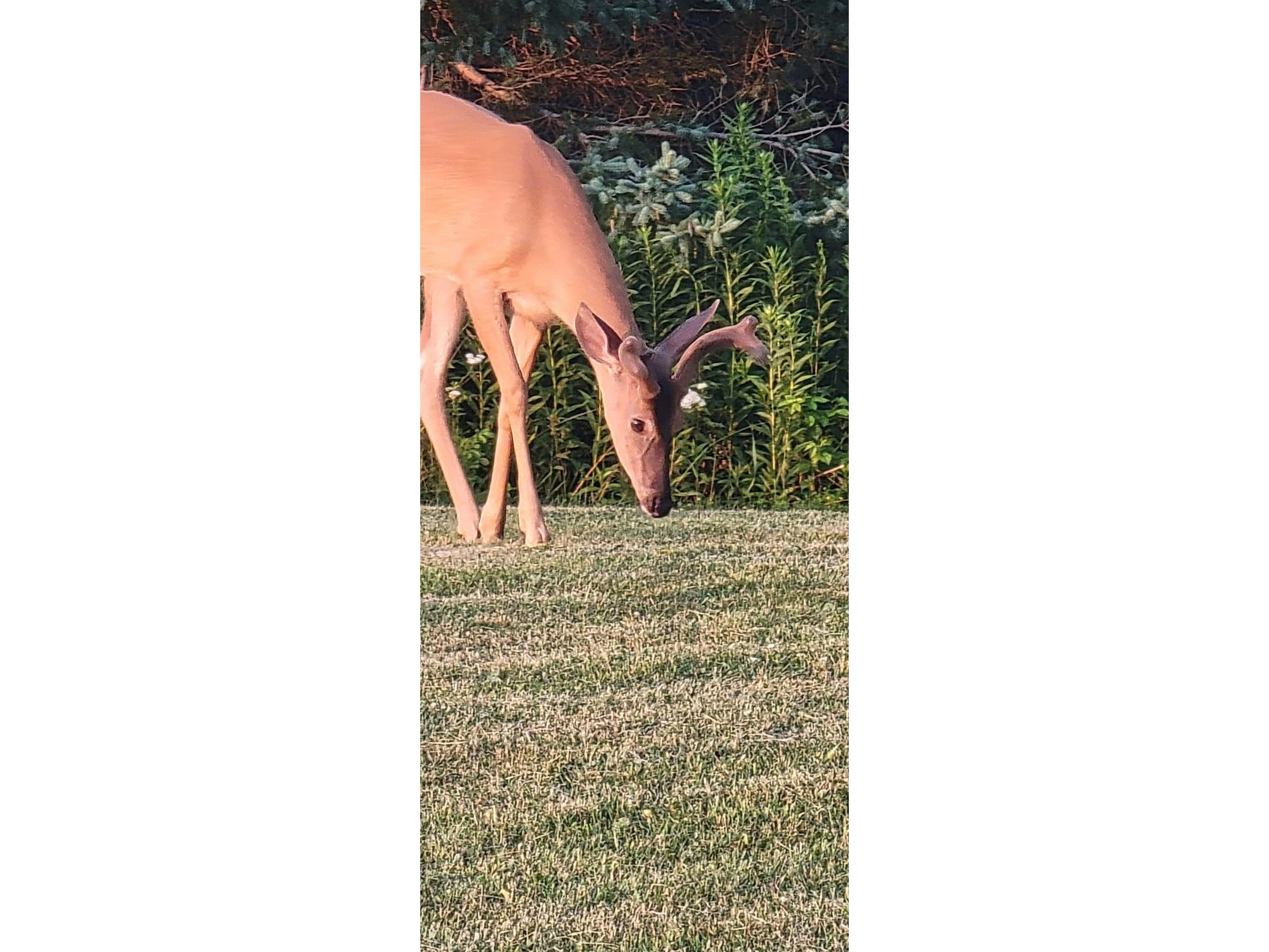 3968 S County Rd U South Range WI 54874 - Miller Creek 6122247 image24