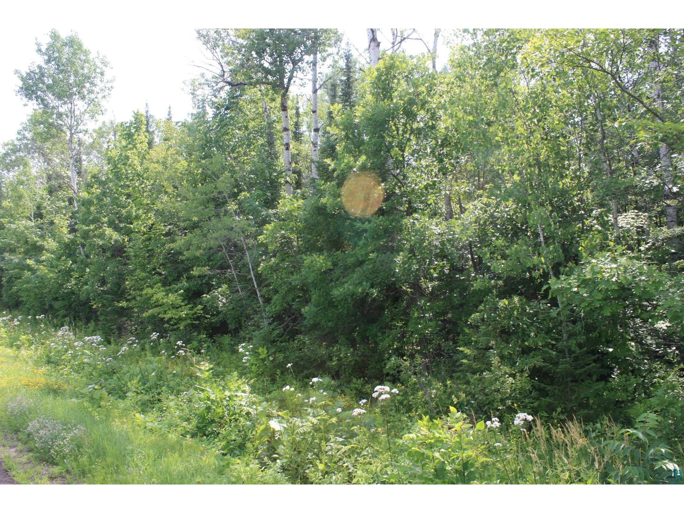 39XX S County Rd O Maple WI 54820 6120723 image10