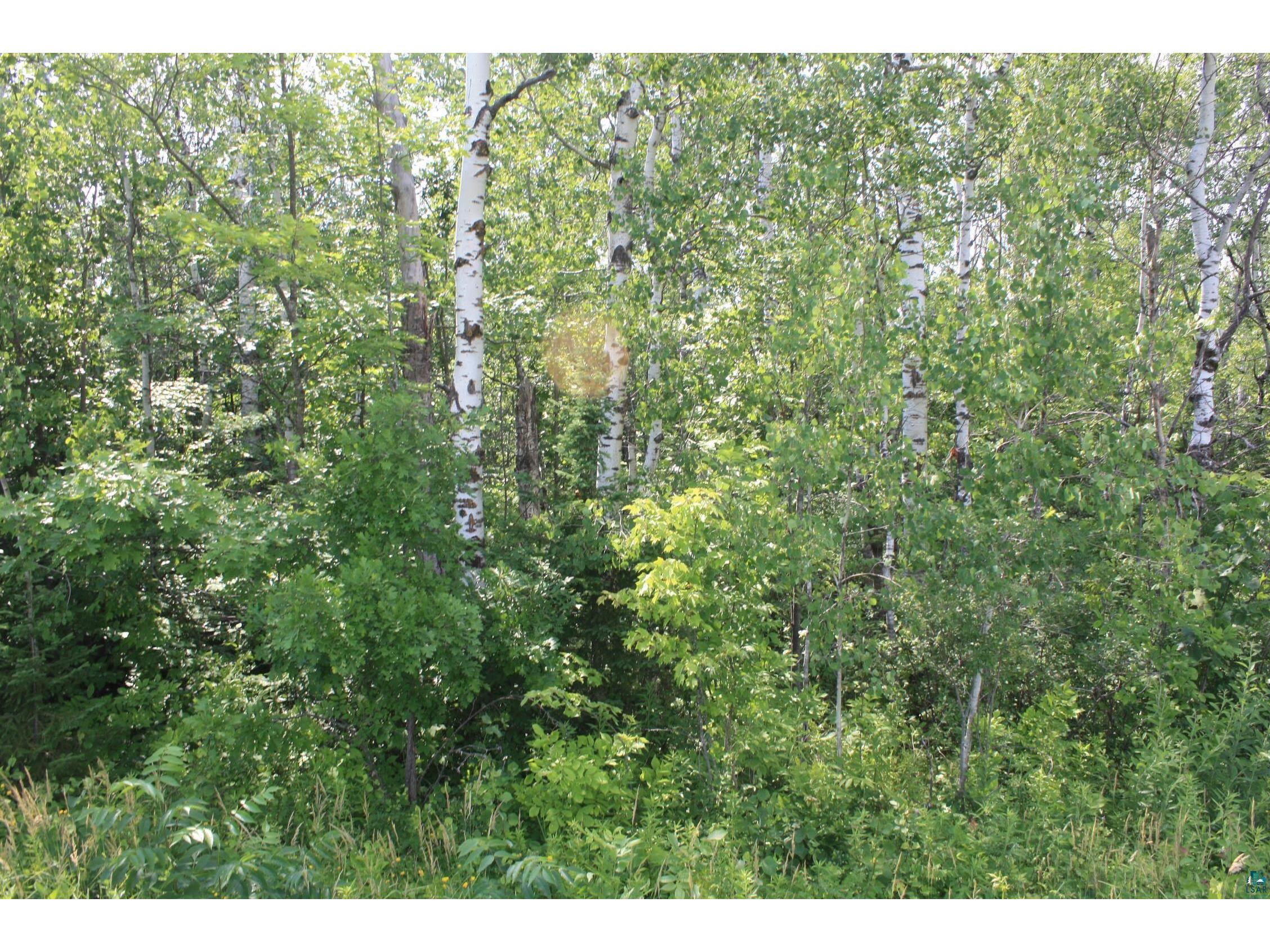 39XX S County Rd O Maple WI 54820 6120723 image11