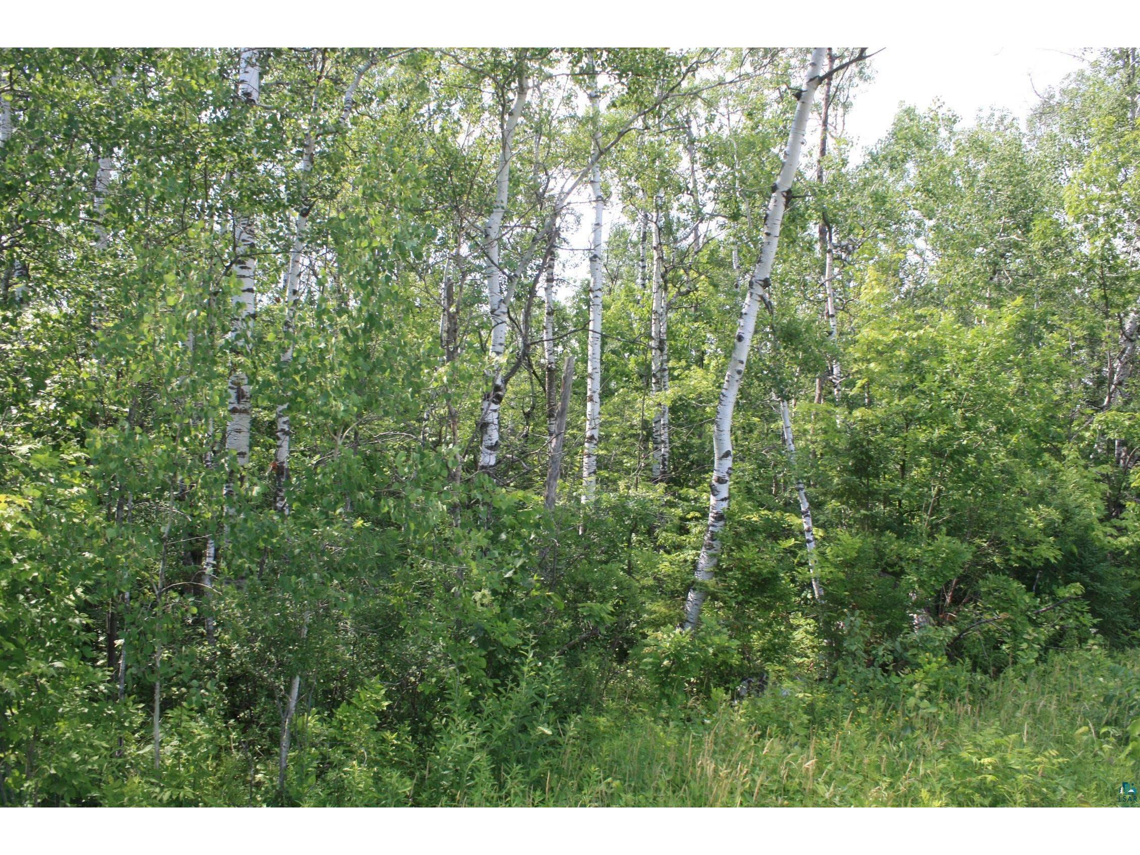 39XX S County Rd O Maple WI 54820 6120723 image12