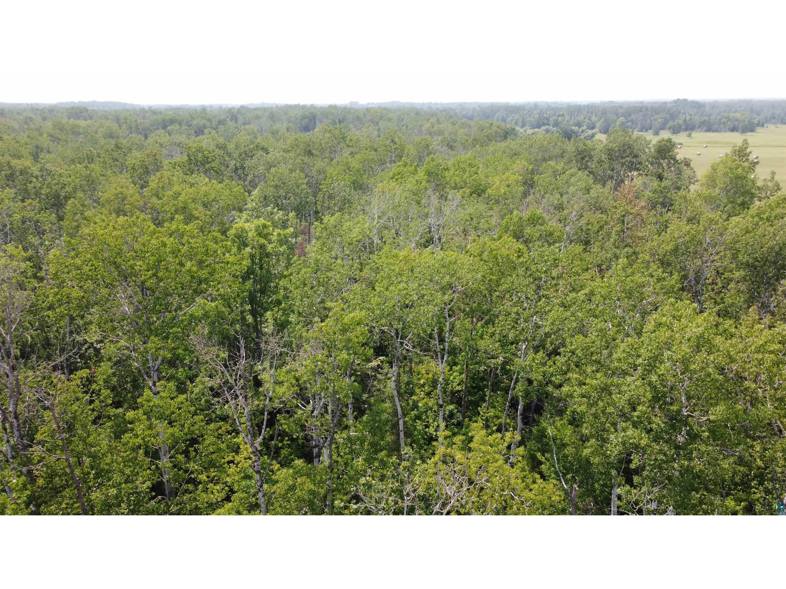 39XX S County Rd O Maple WI 54820 6120723 image2