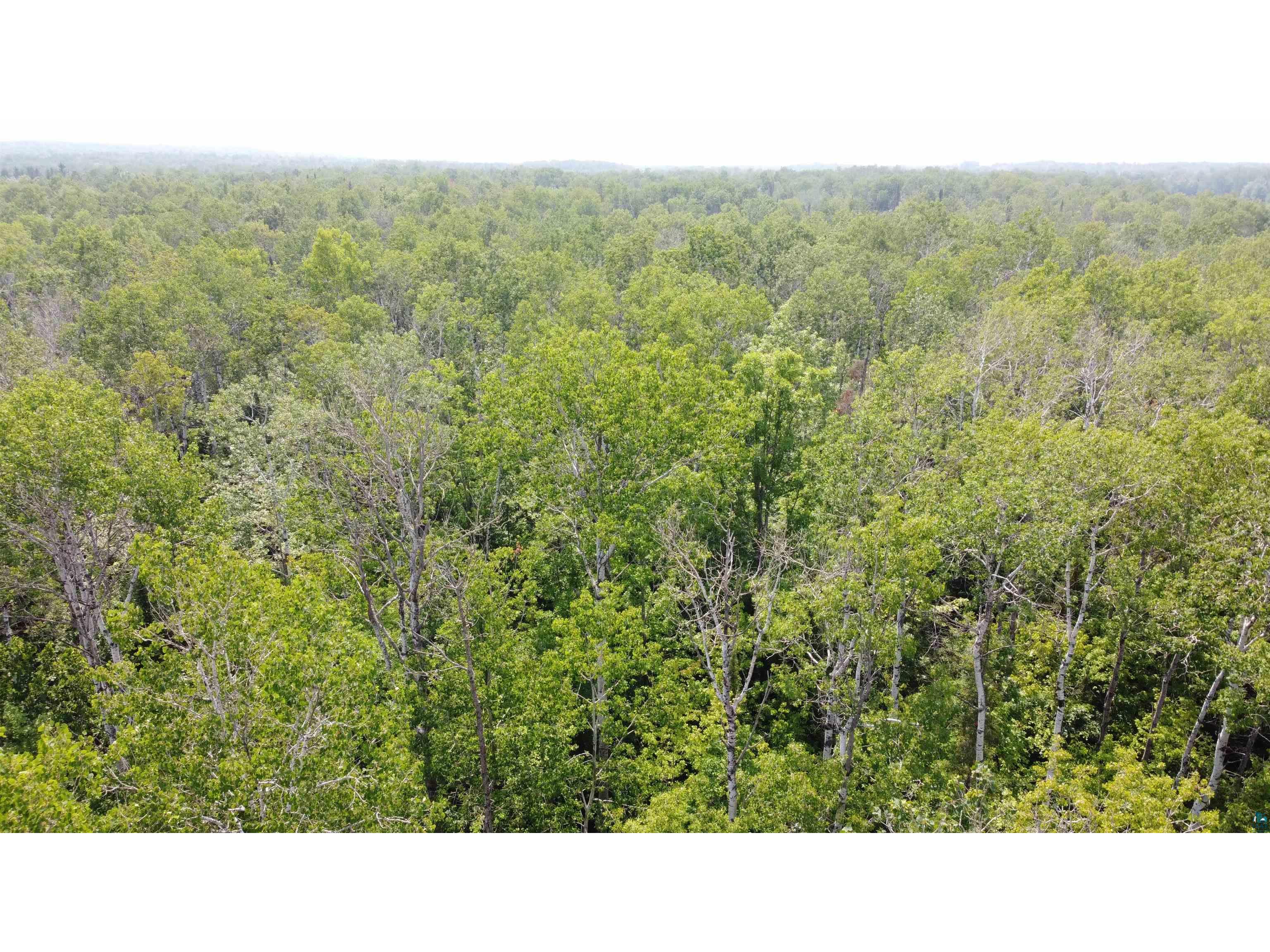 39XX S County Rd O Maple WI 54820 6120723 image4