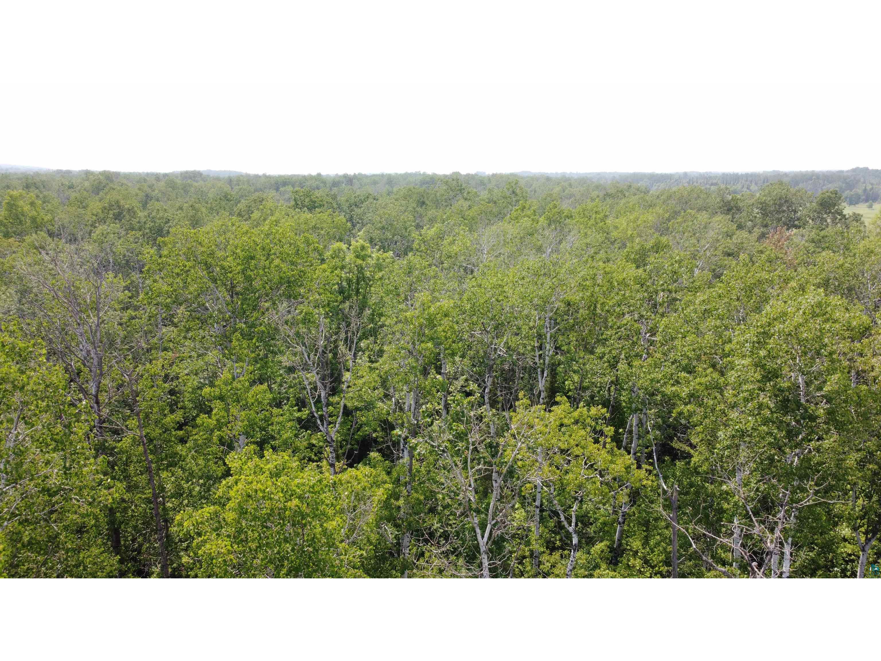 39XX S County Rd O Maple WI 54820 6120723 image5