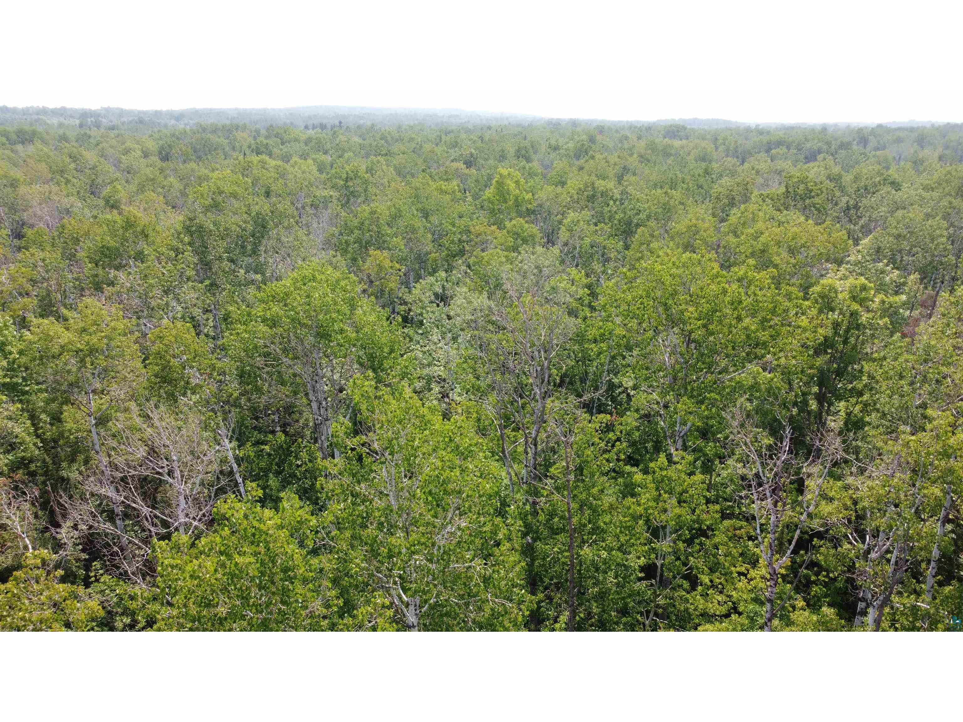 39XX S County Rd O Maple WI 54820 6120723 image7