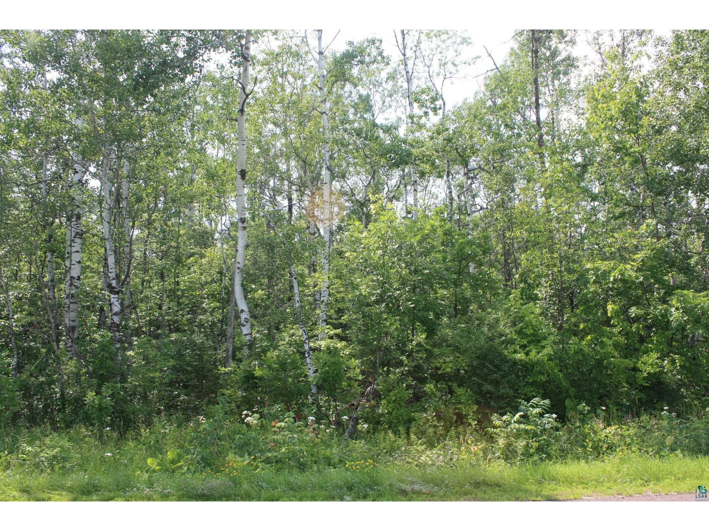 39XX S County Rd O Maple WI 54820 6120723 image8