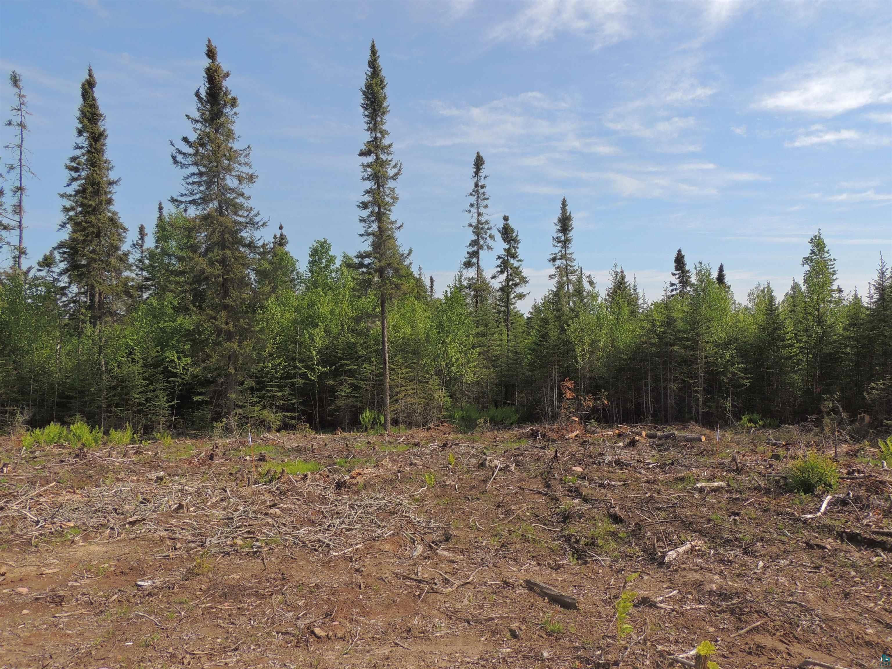 3X Skye Ridge Grand Marais MN 55604 - Little Devil Track 6120074 image20