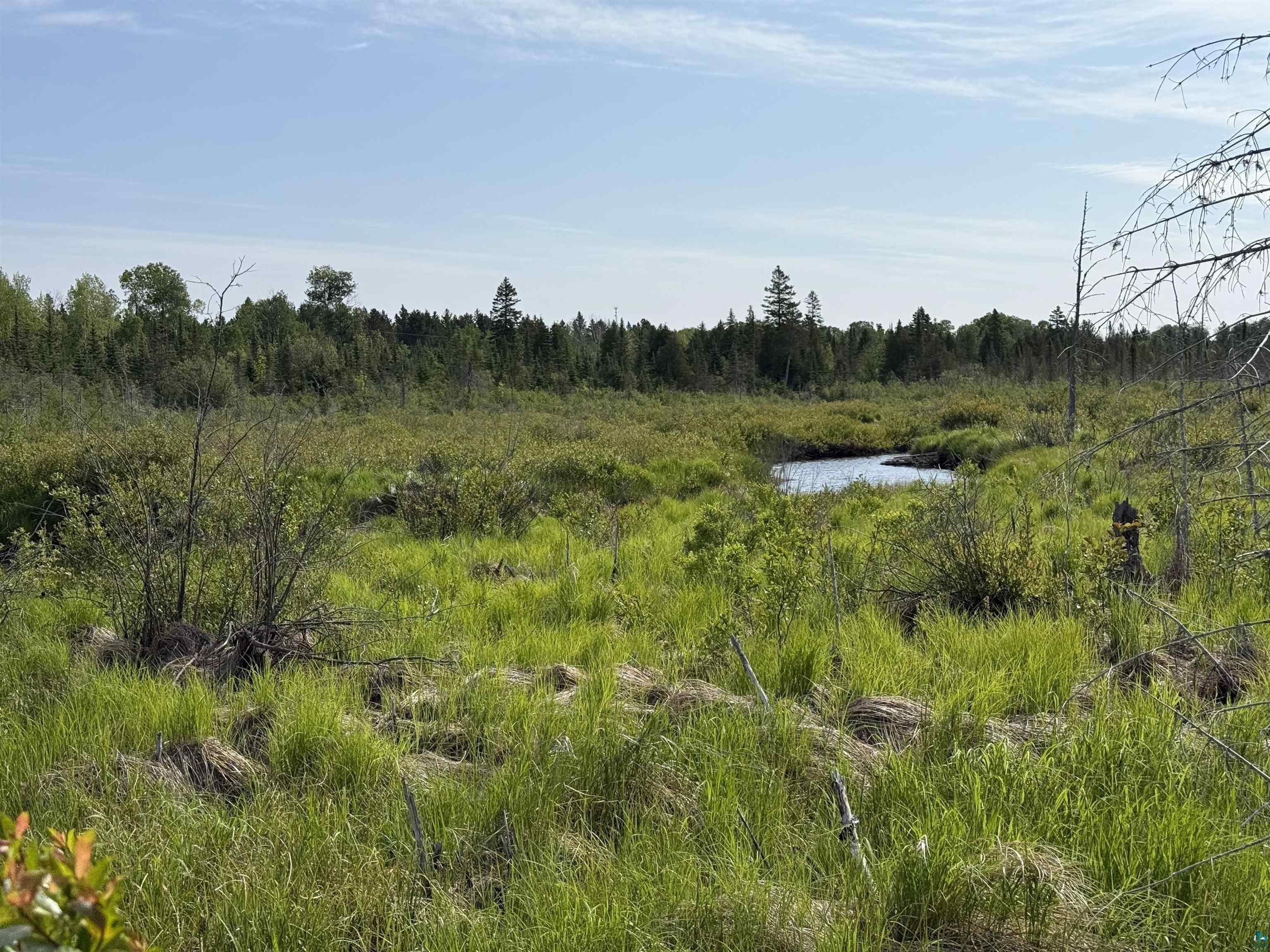 3X Skye Ridge Grand Marais MN 55604 - Little Devil Track 6120074 image6