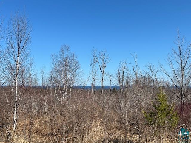 3XX Boulder Point Rd Lutsen MN 55612 6119217 image4