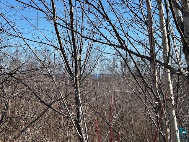 3XX Boulder Point Rd Lutsen MN 55612 6119217 image6