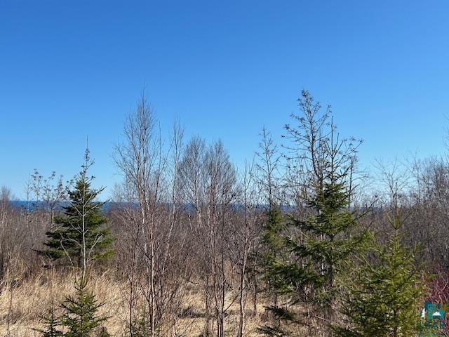 3XX Boulder Point Rd Lutsen MN 55612 6119217 image7