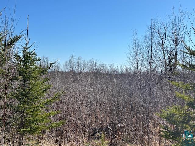 3XX Boulder Point Rd Lutsen MN 55612 6119217 image8