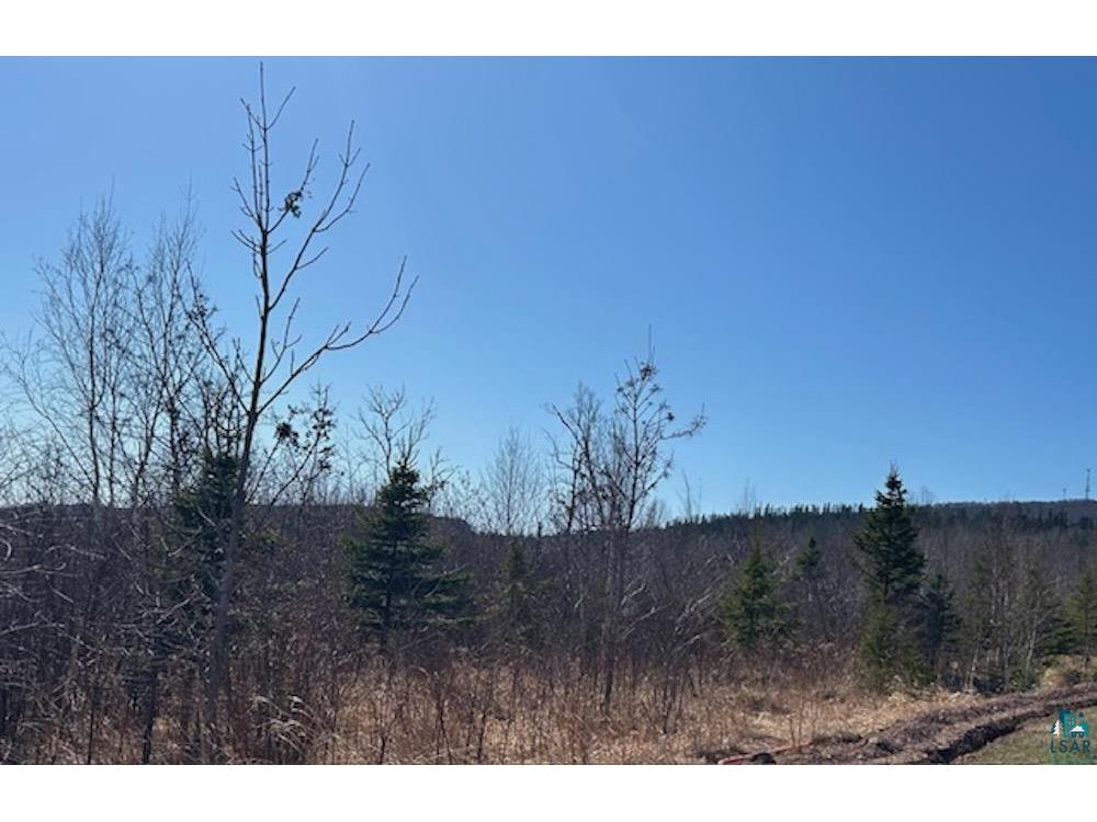3XX Boulder Point Rd Lutsen MN 55612 6119217 image9