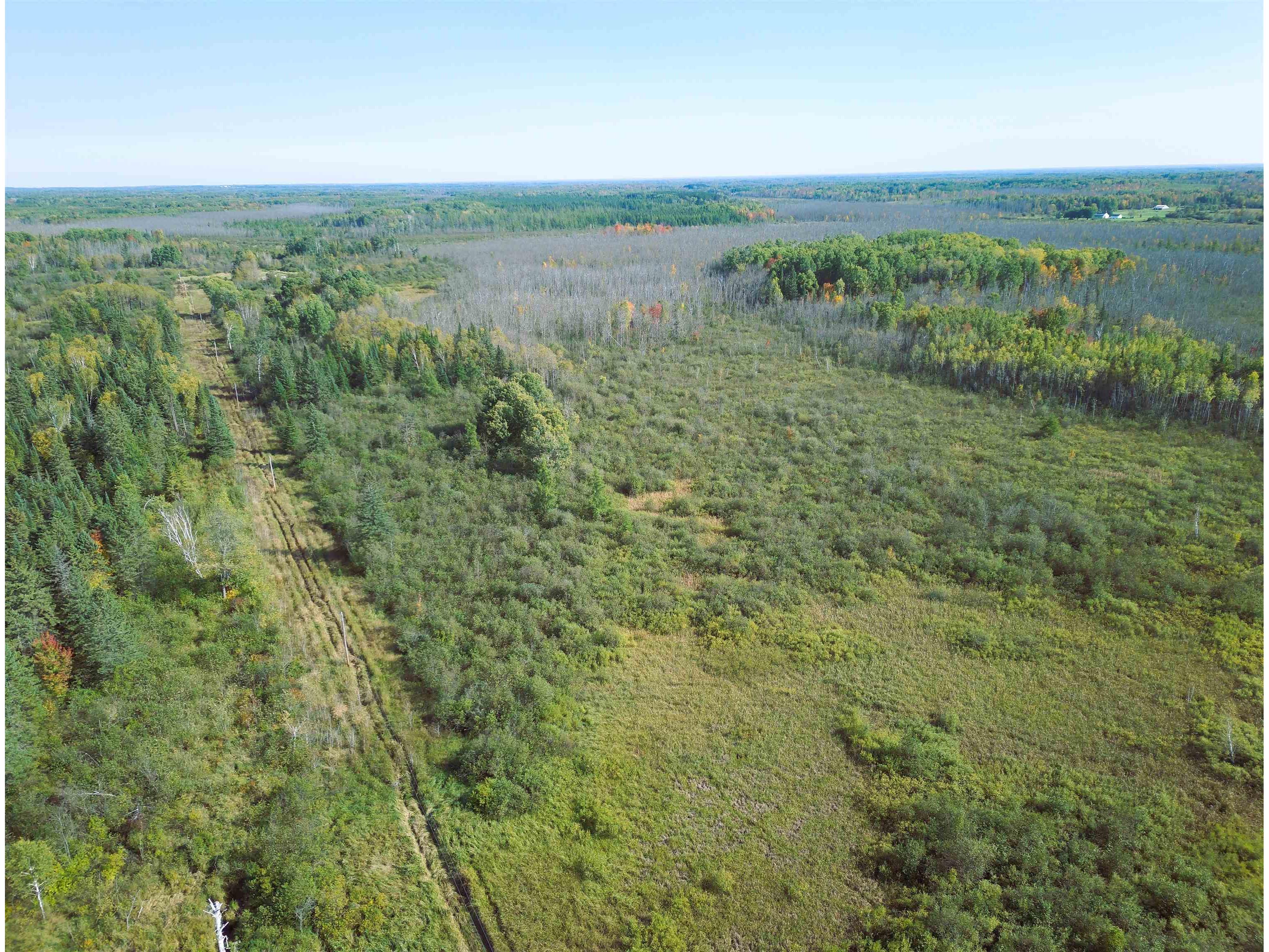 3XXX County Rd 132 Kettle River MN 55757 6122291 image4