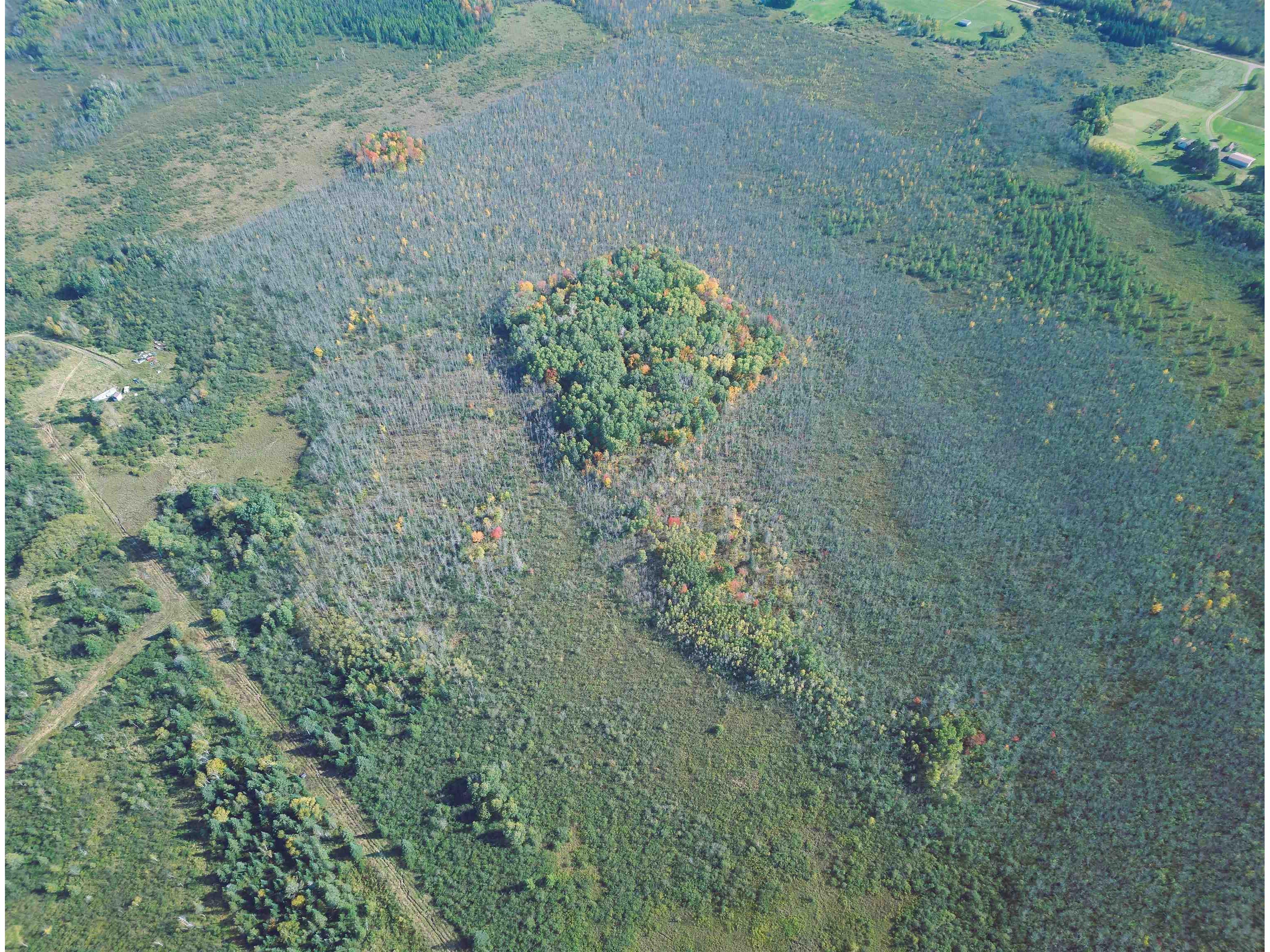 3XXX County Rd 132 Kettle River MN 55757 6122291 image6