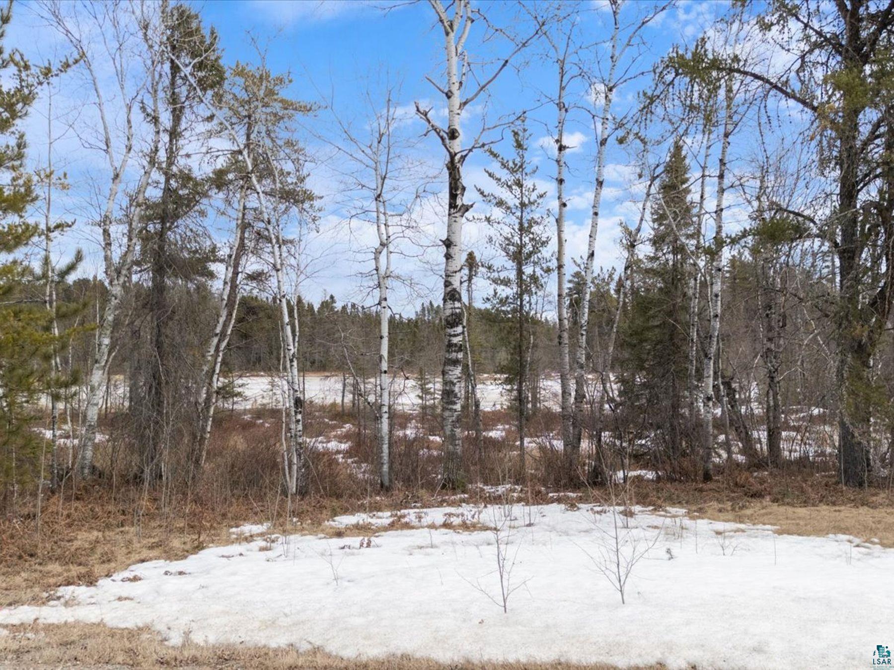 3xxx County Rd 904 Babbitt MN 55706 6124441 image21