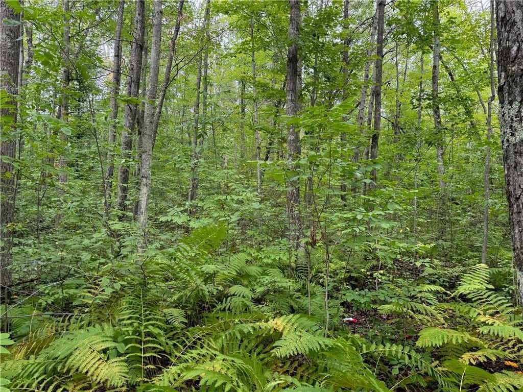 4.7 acres Gurno Lake Rd Hayward WI 54843 6118254 image12