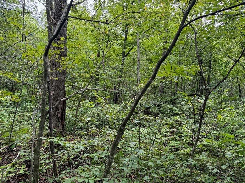 4.7 acres Gurno Lake Rd Hayward WI 54843 6118254 image19