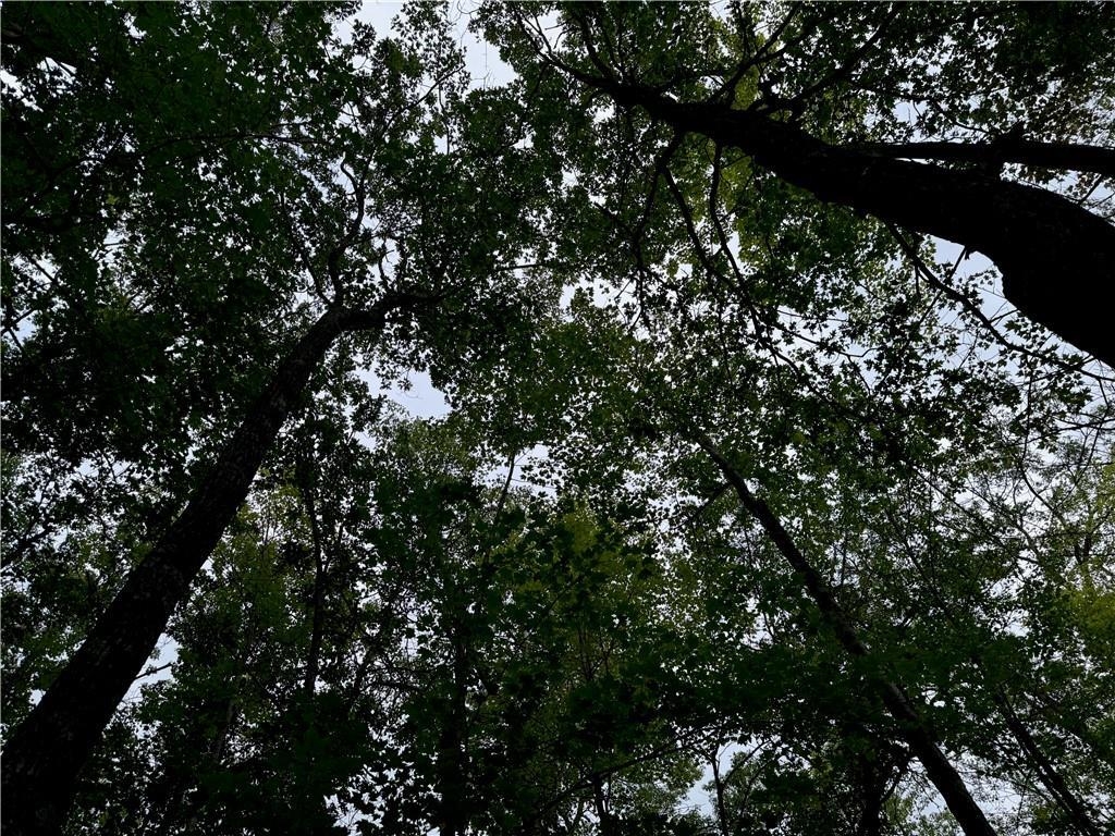 4.7 acres Gurno Lake Rd Hayward WI 54843 6118254 image24