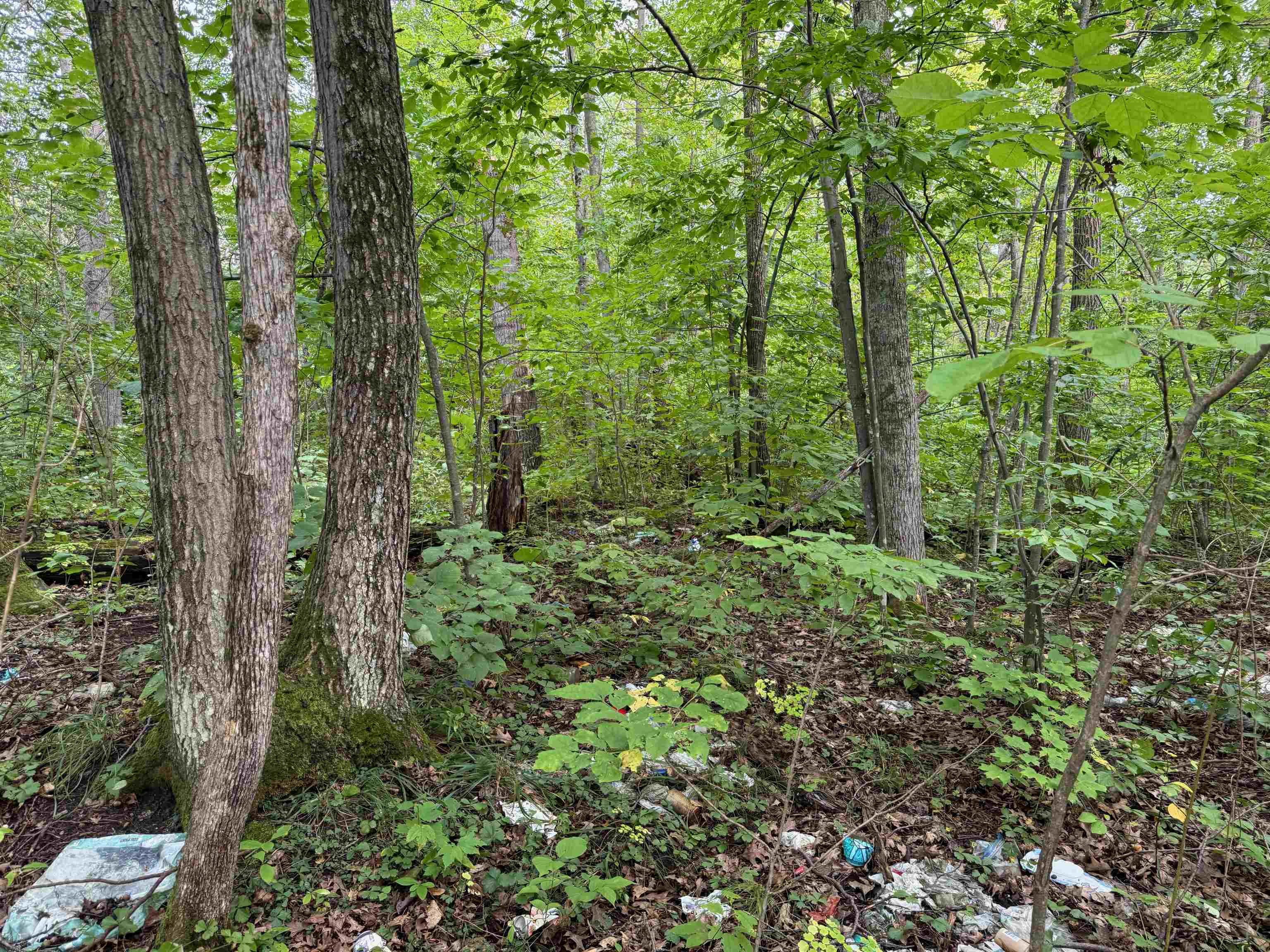 4.7 acres Gurno Lake Rd Hayward WI 54843 6118254 image9