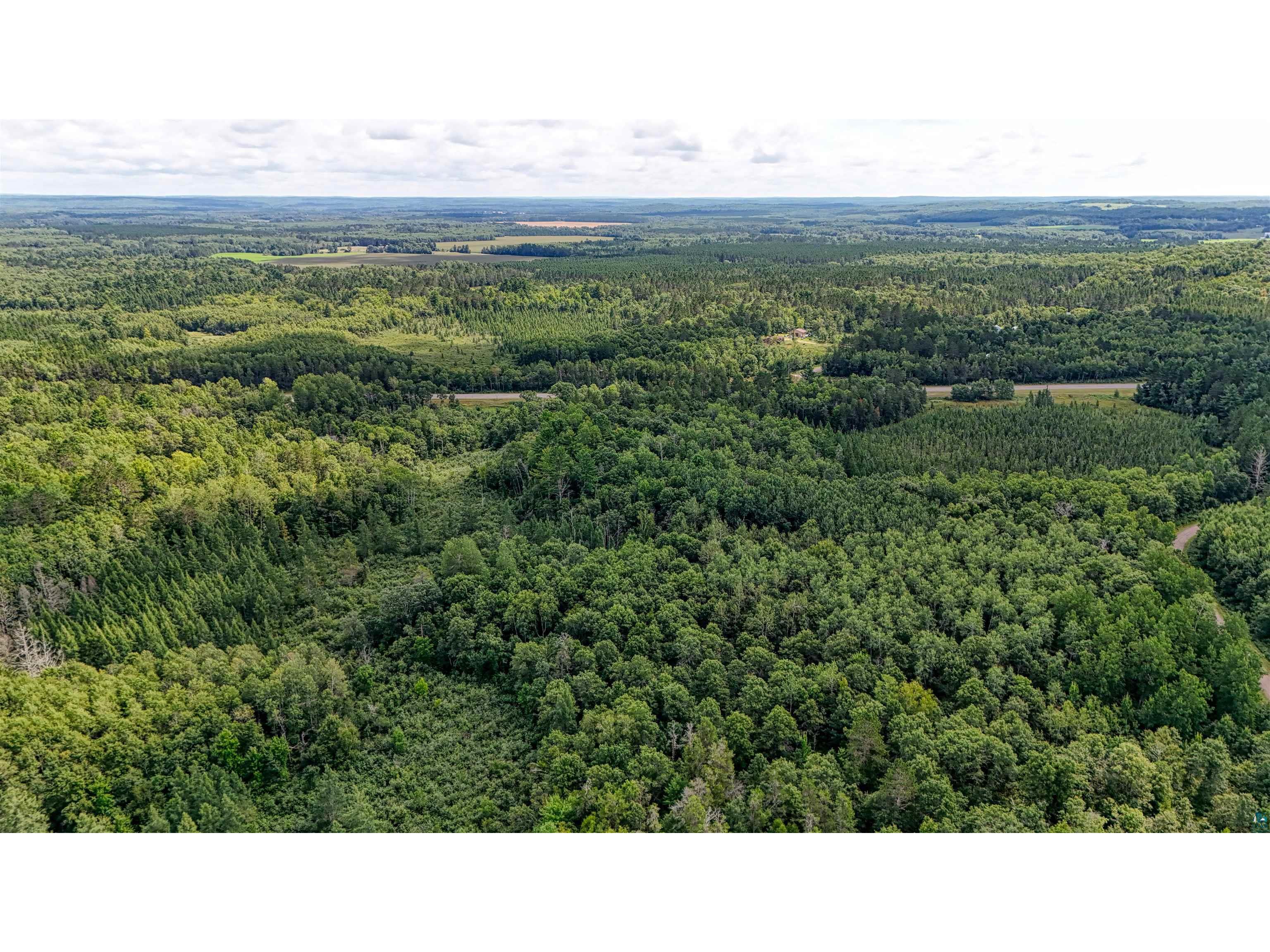 40 acres on Highway 63 Springbrook WI 54875 6121458 image6