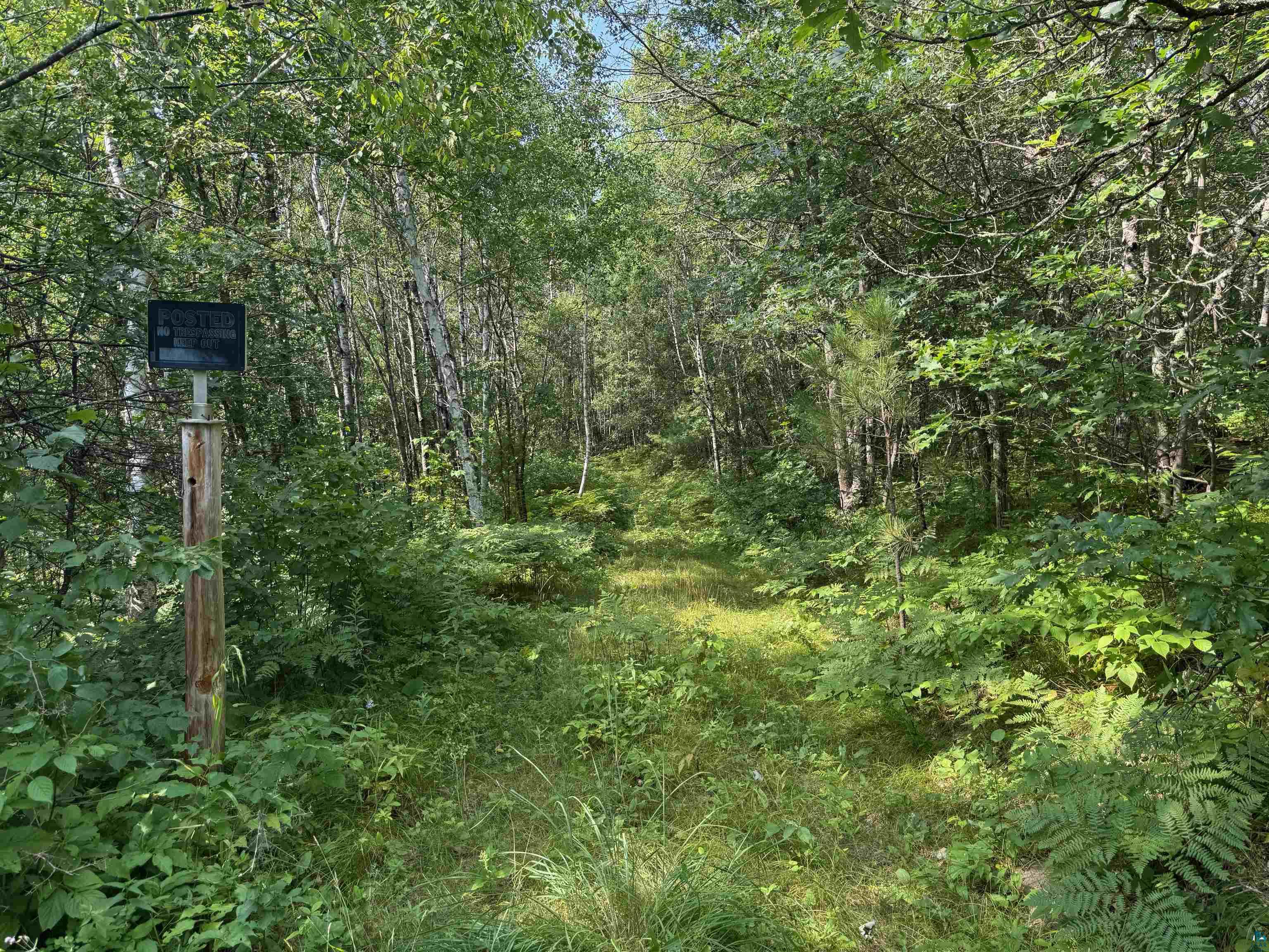 40 acres on Highway 63 Springbrook WI 54875 6121458 image8