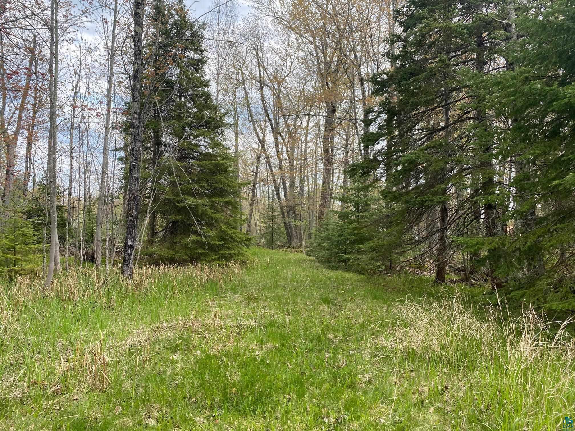 401 Big Arn's Rd Lapointe WI 54814 6114002 image1