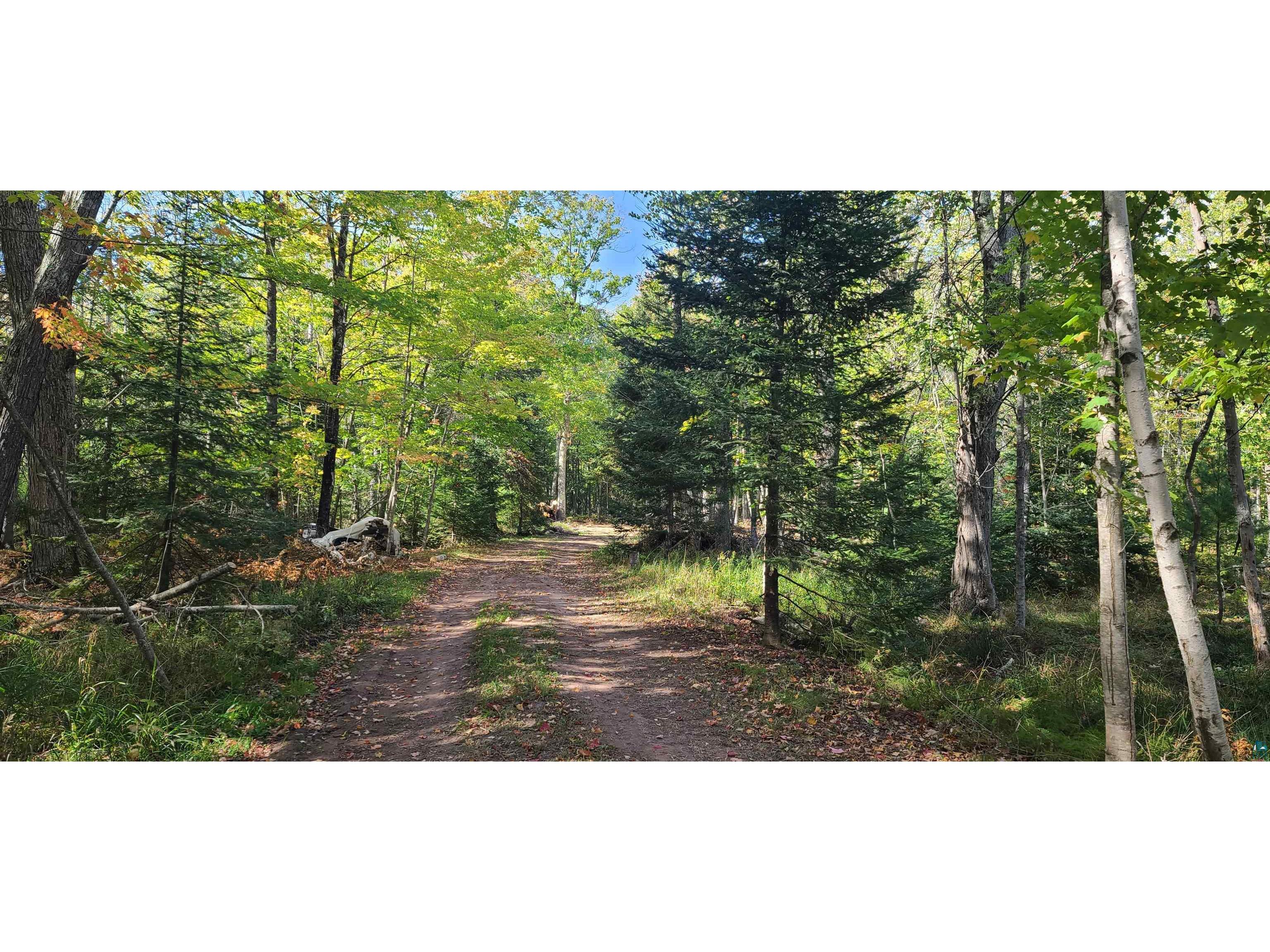 401 Big Arn's Rd Lapointe WI 54850 6118490 image1