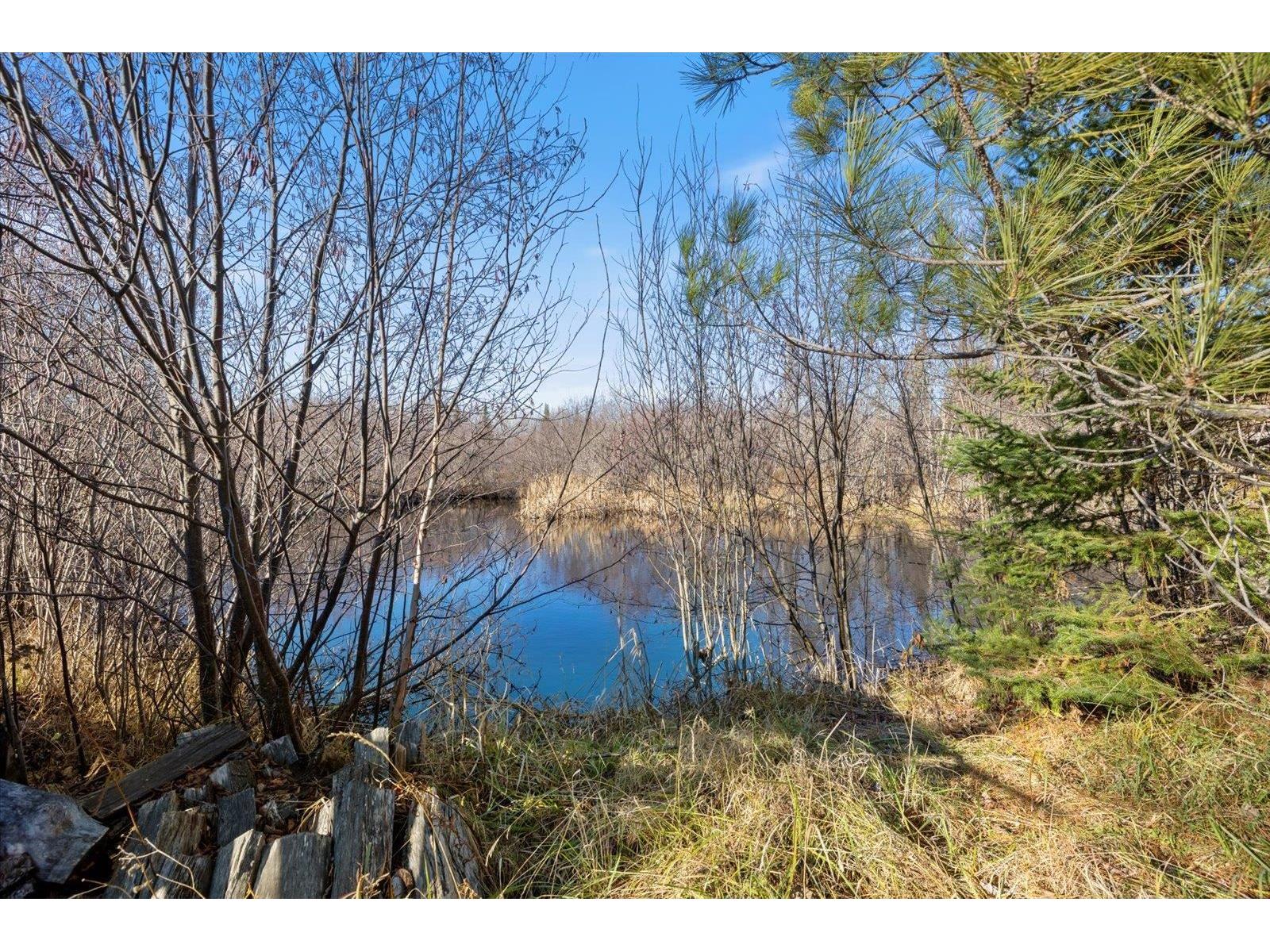 4017 Hwy 25 Iron MN 55751 - POND 6122898 image74