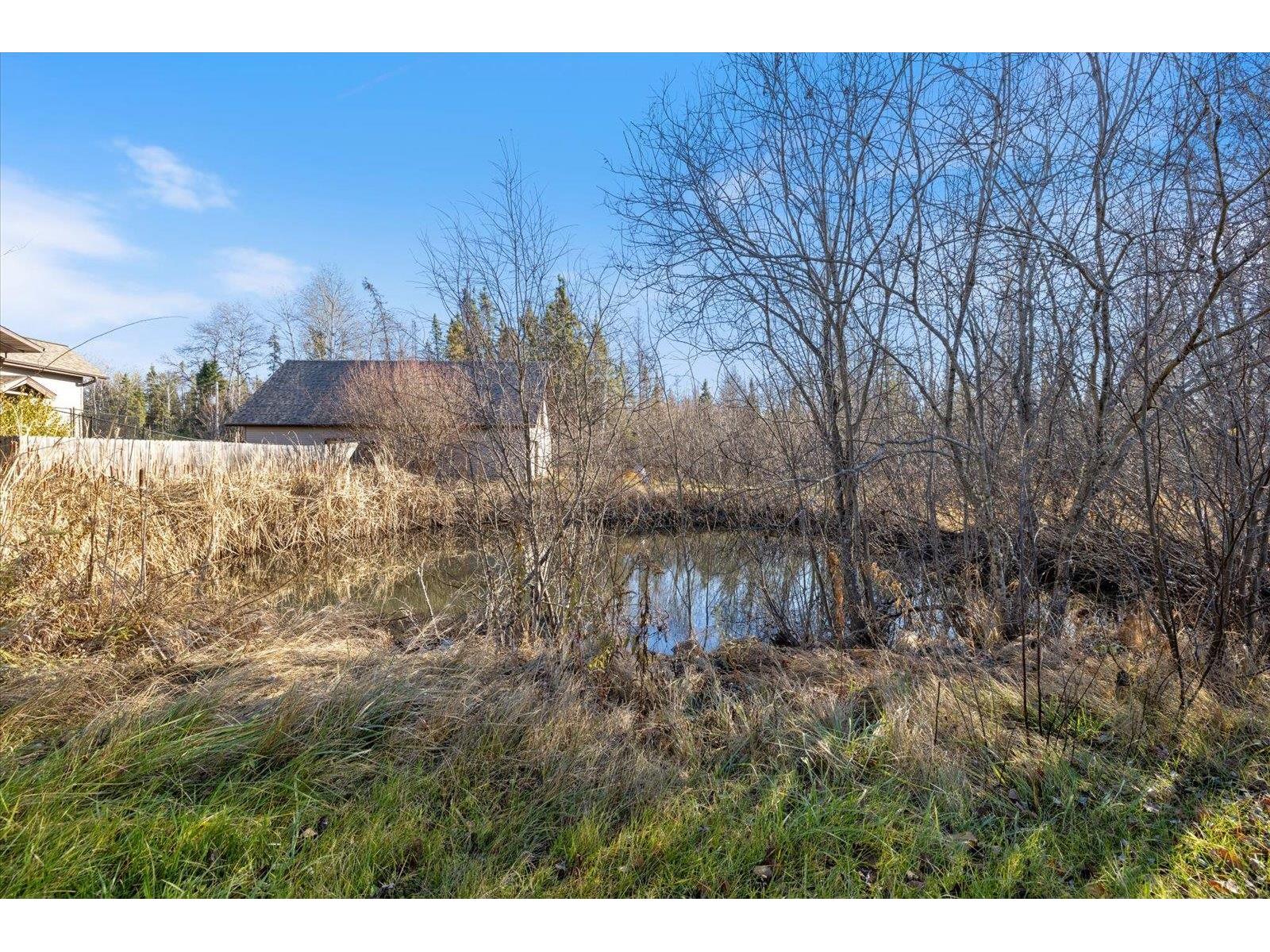 4017 Hwy 25 Iron MN 55751 - POND 6122898 image75