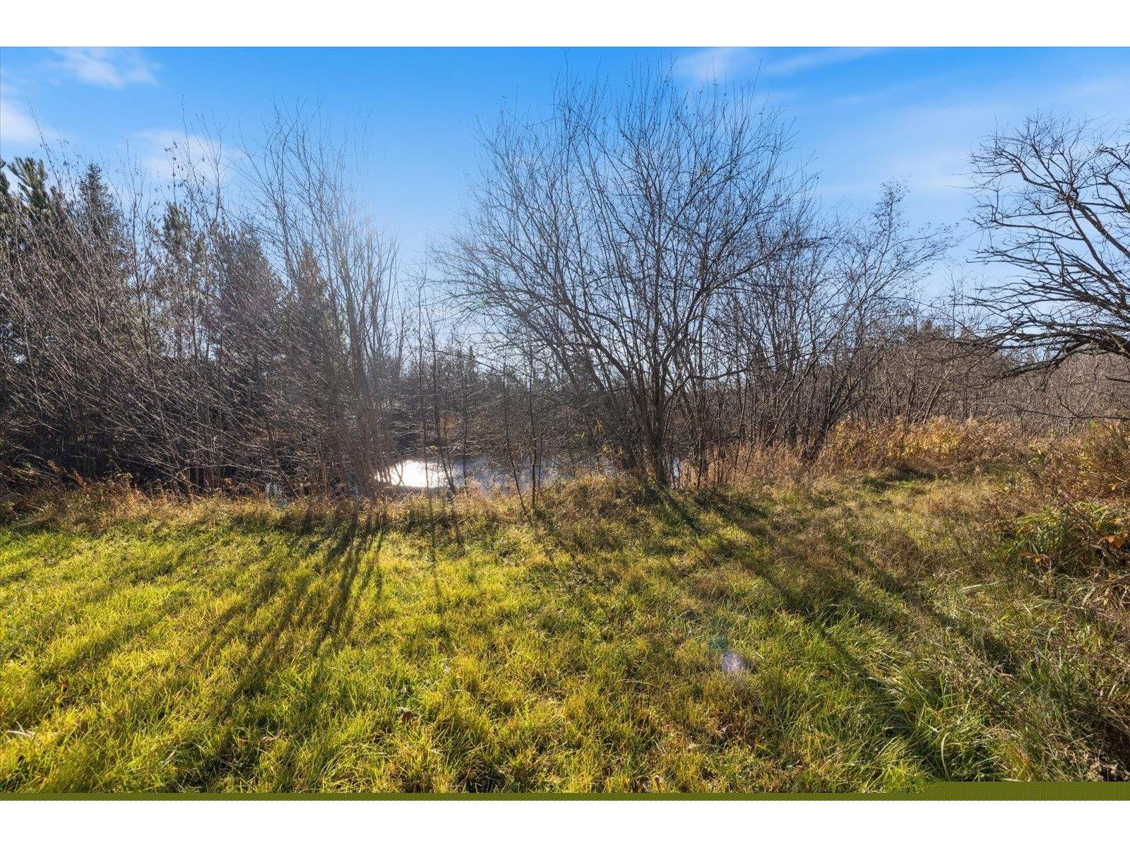 4017 Hwy 25 Iron MN 55751 - POND 6122898 image77