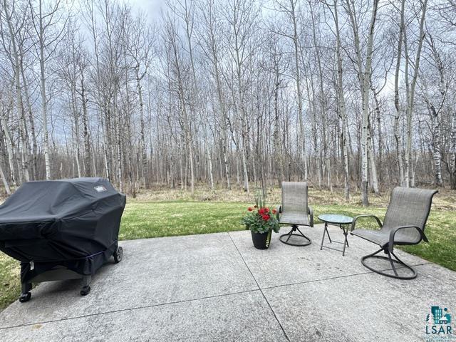 4031 Haines Rd Hermantown MN 55811 6125181 image28