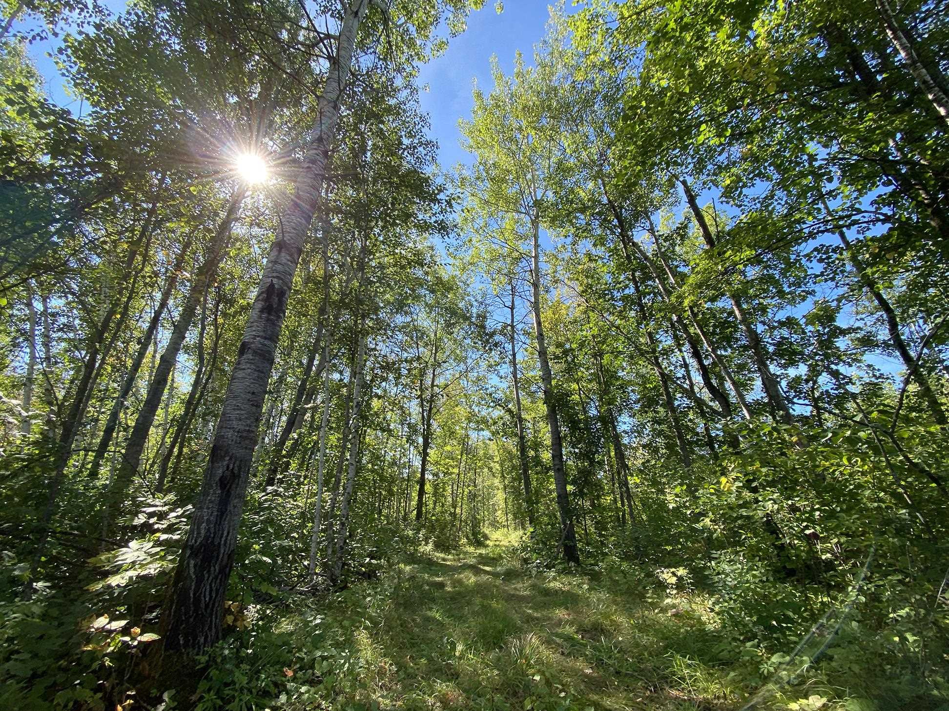 4048 Little Rd Barnum MN 55707 6121682 image1