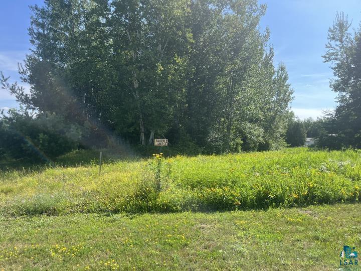 408 Goad Rd Wrenshall MN 55797 6110052 image1