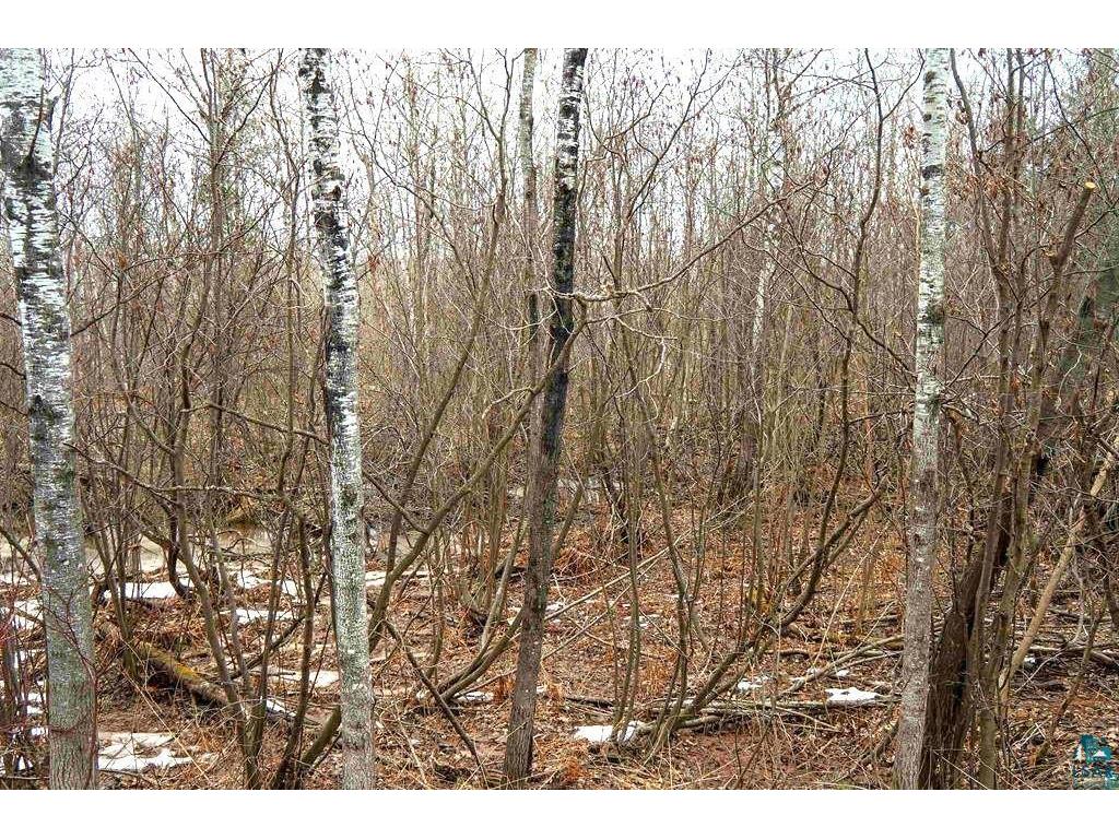 40xx Fairview Rd Duluth MN 55803 6113100 image1