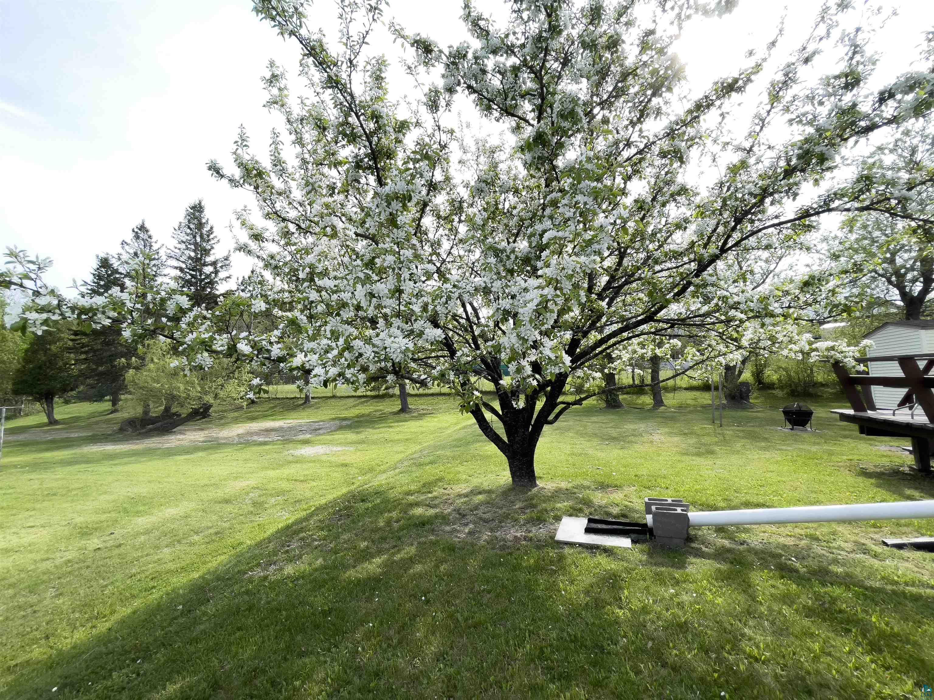 41 Bell Cr Silver Bay MN 55614 6120117 image31