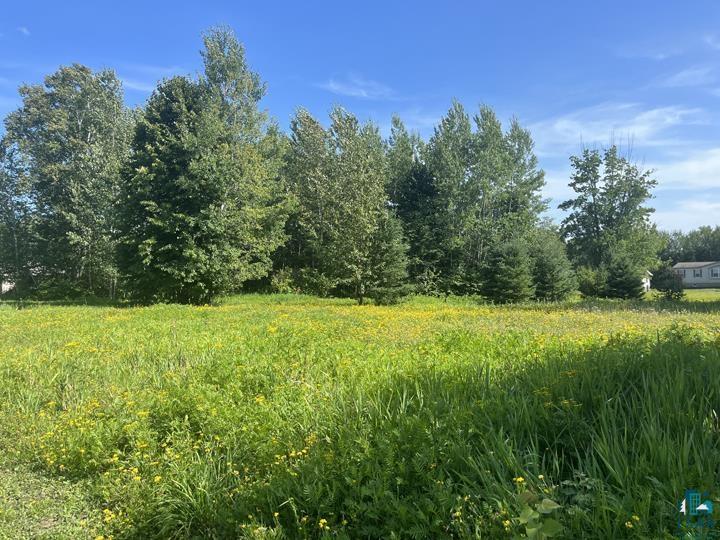 410 Goad Dr Wrenshall MN 55797 6110054 image1