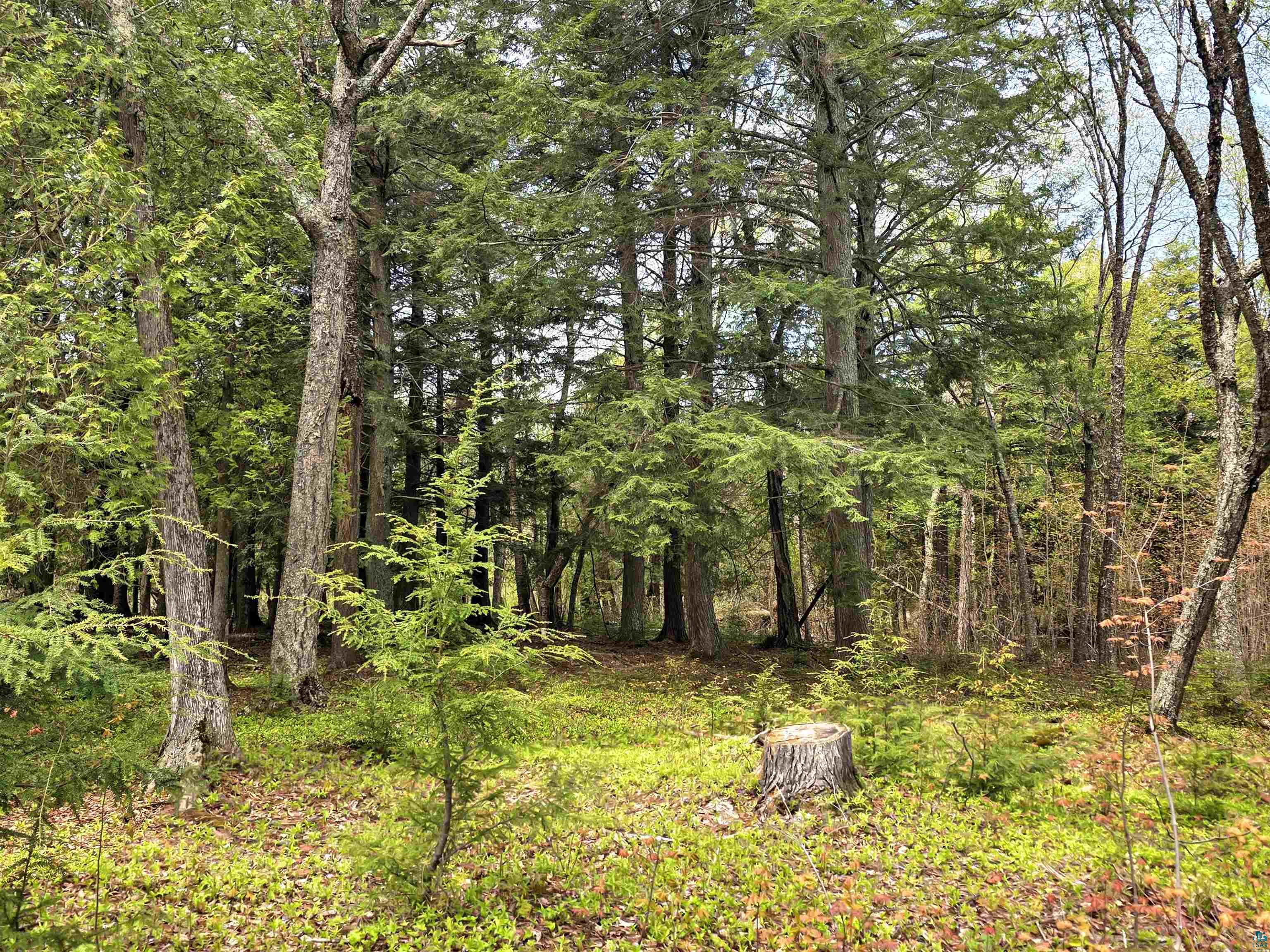 4102 Chippewa Tr Lapointe WI 54850 - Lake Superior 6125576 image21