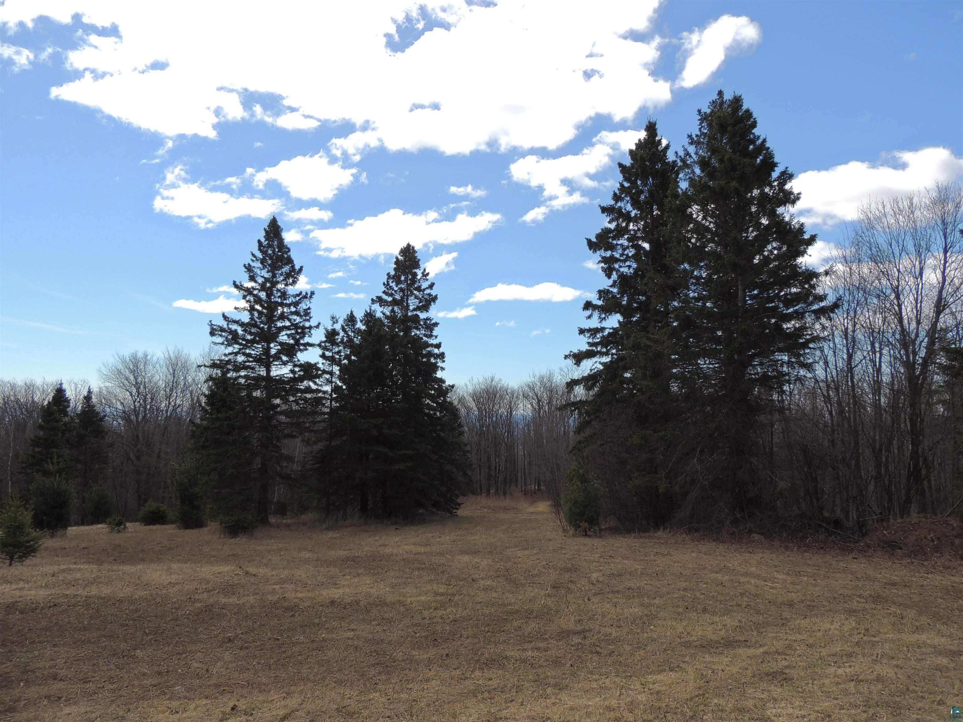 XXX Springdale Rd Tofte MN 55615 6124939 image1