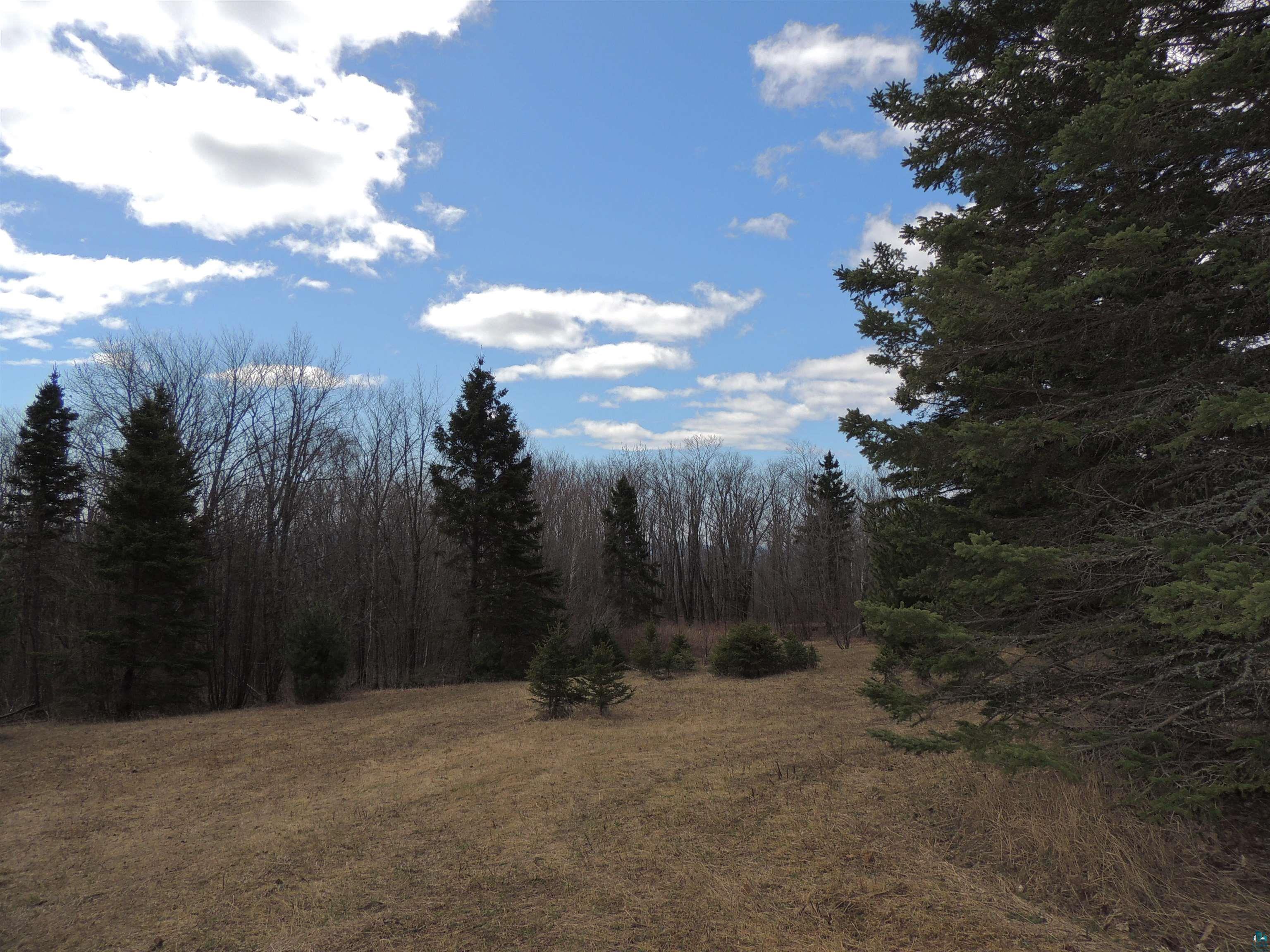 XXX Springdale Rd Tofte MN 55615 6124939 image10