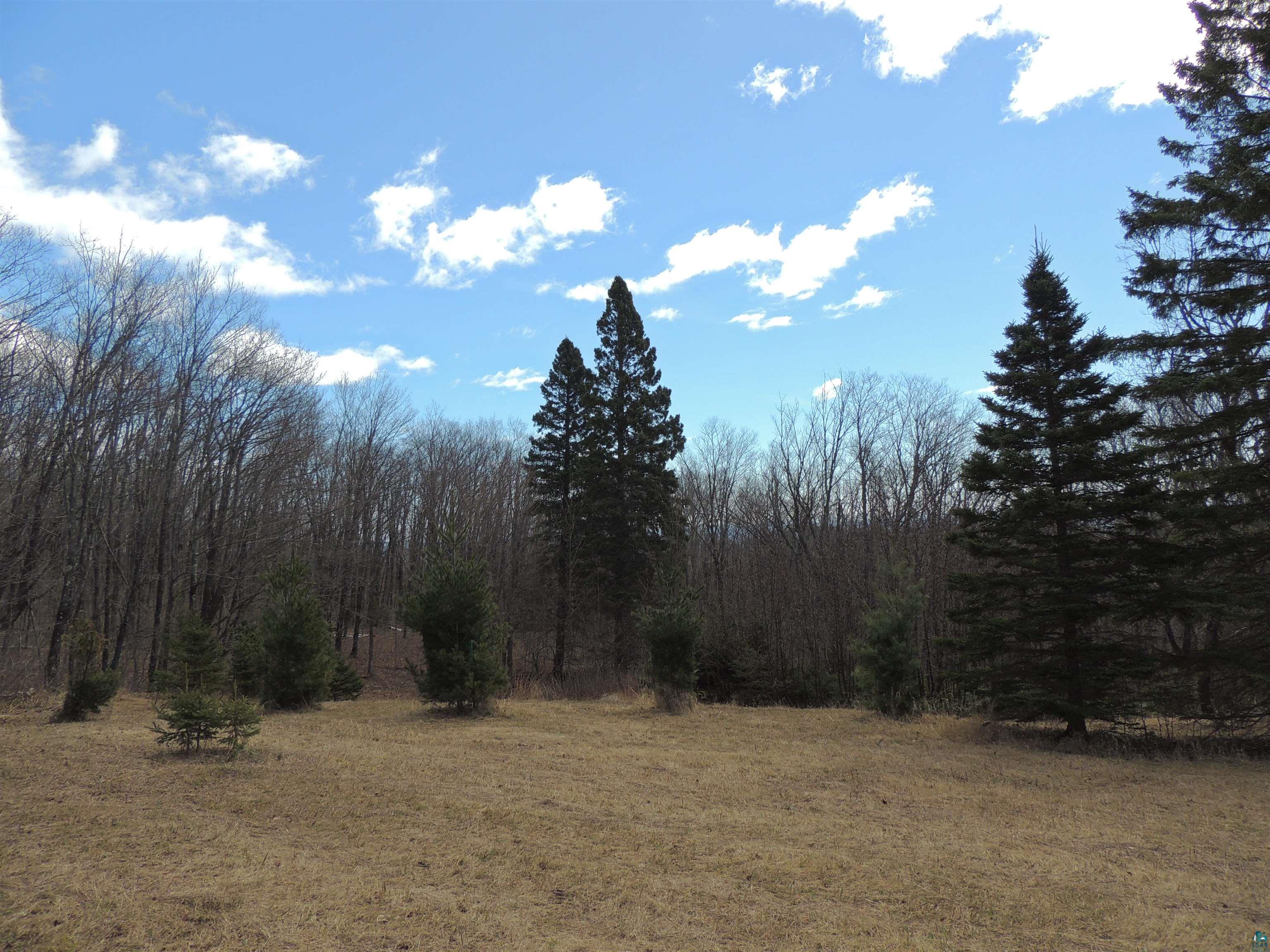 XXX Springdale Rd Tofte MN 55615 6124939 image11