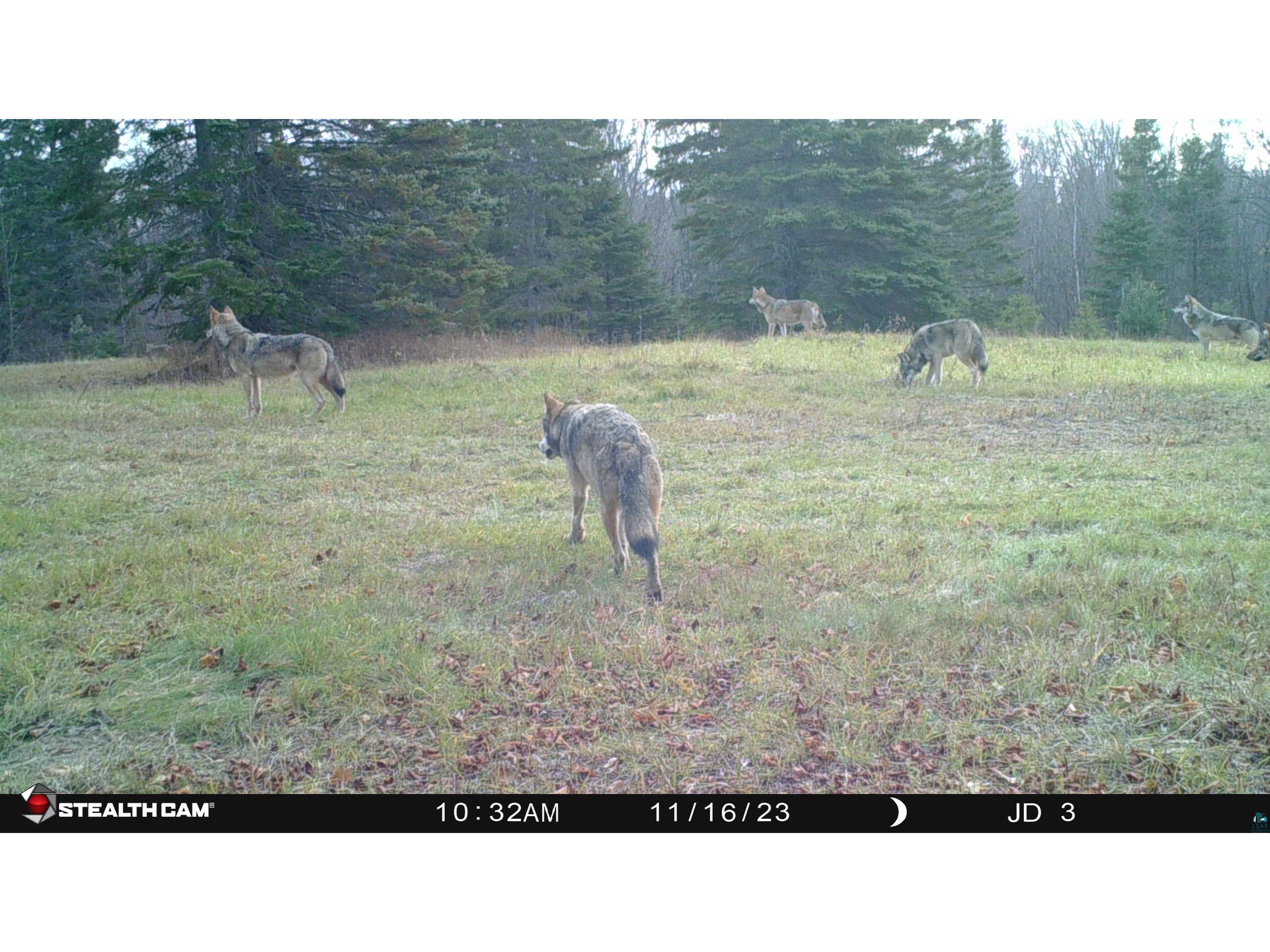 XXX Springdale Rd Tofte MN 55615 6124939 image12