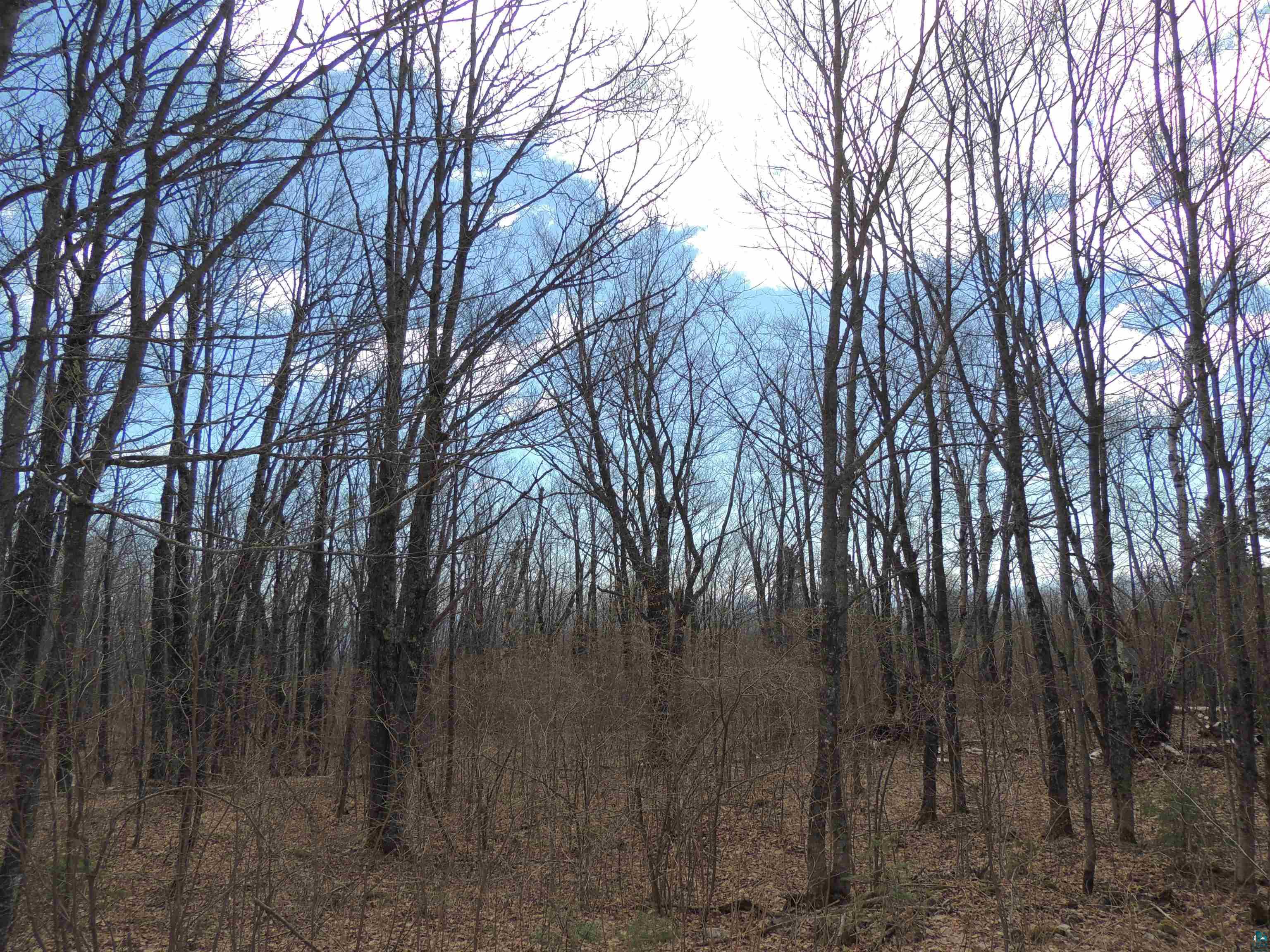XXX Springdale Rd Tofte MN 55615 6124939 image13