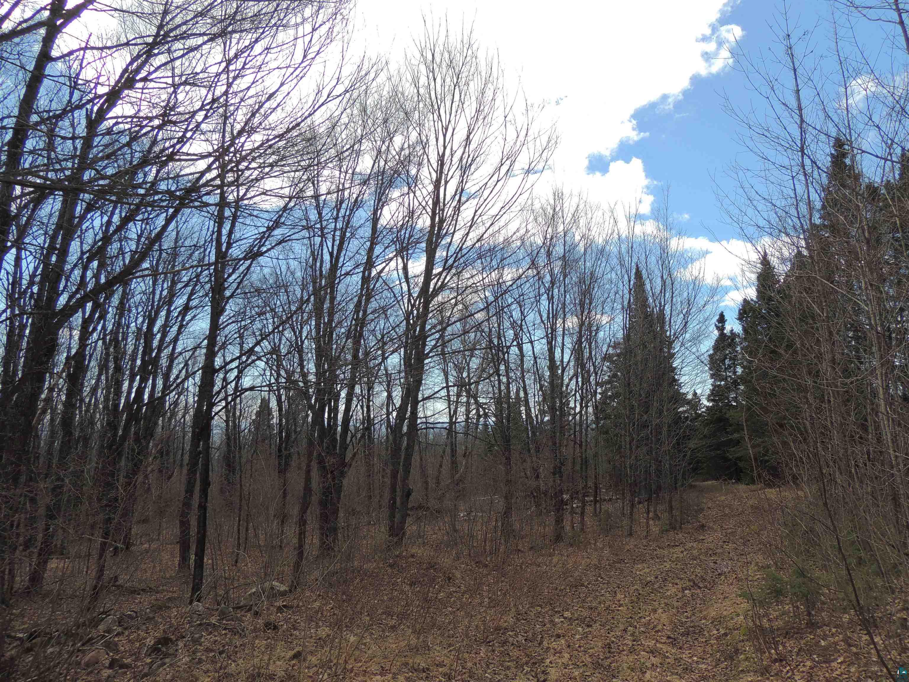 XXX Springdale Rd Tofte MN 55615 6124939 image14