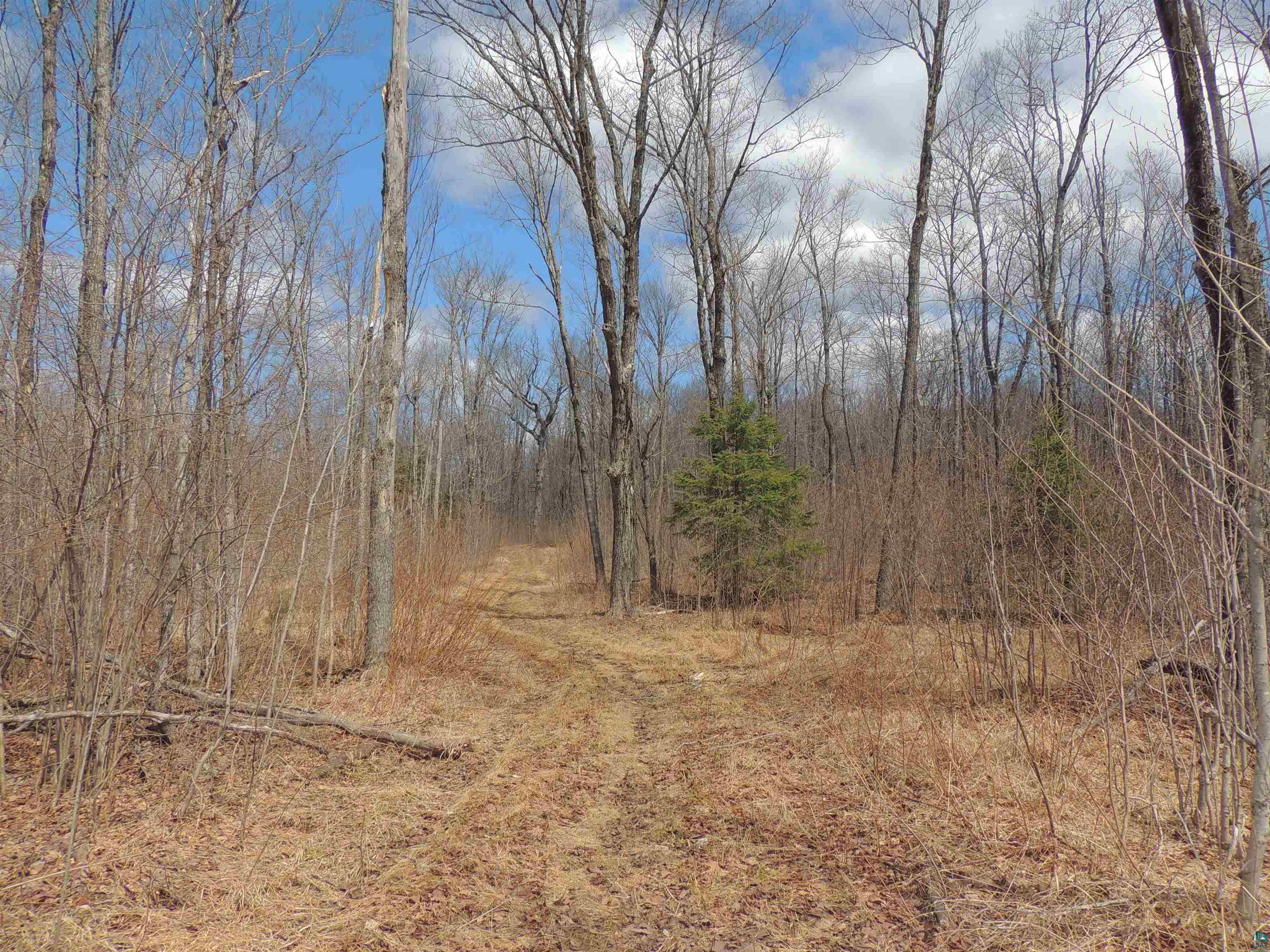 XXX Springdale Rd Tofte MN 55615 6124939 image15