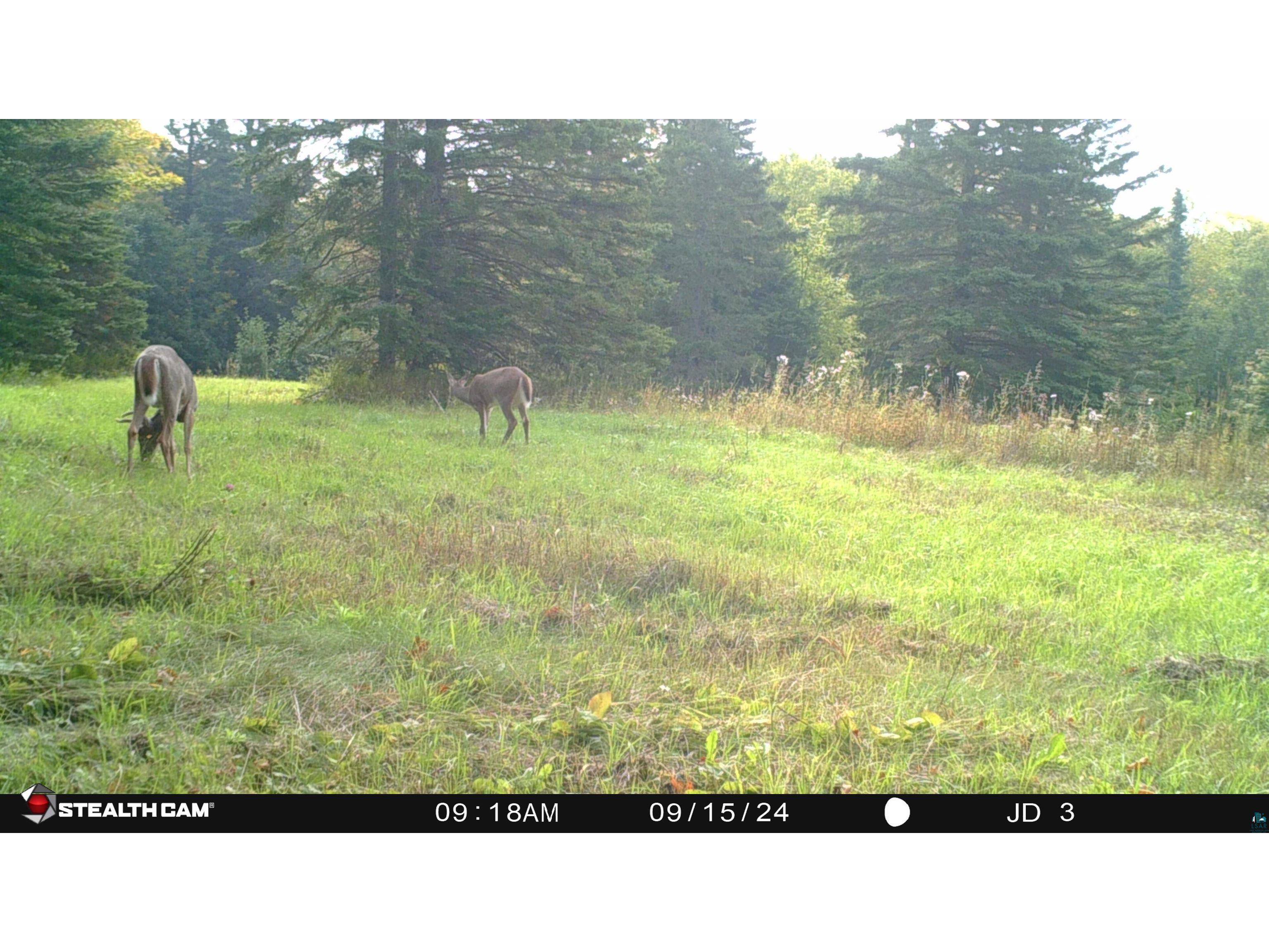 XXX Springdale Rd Tofte MN 55615 6124939 image16
