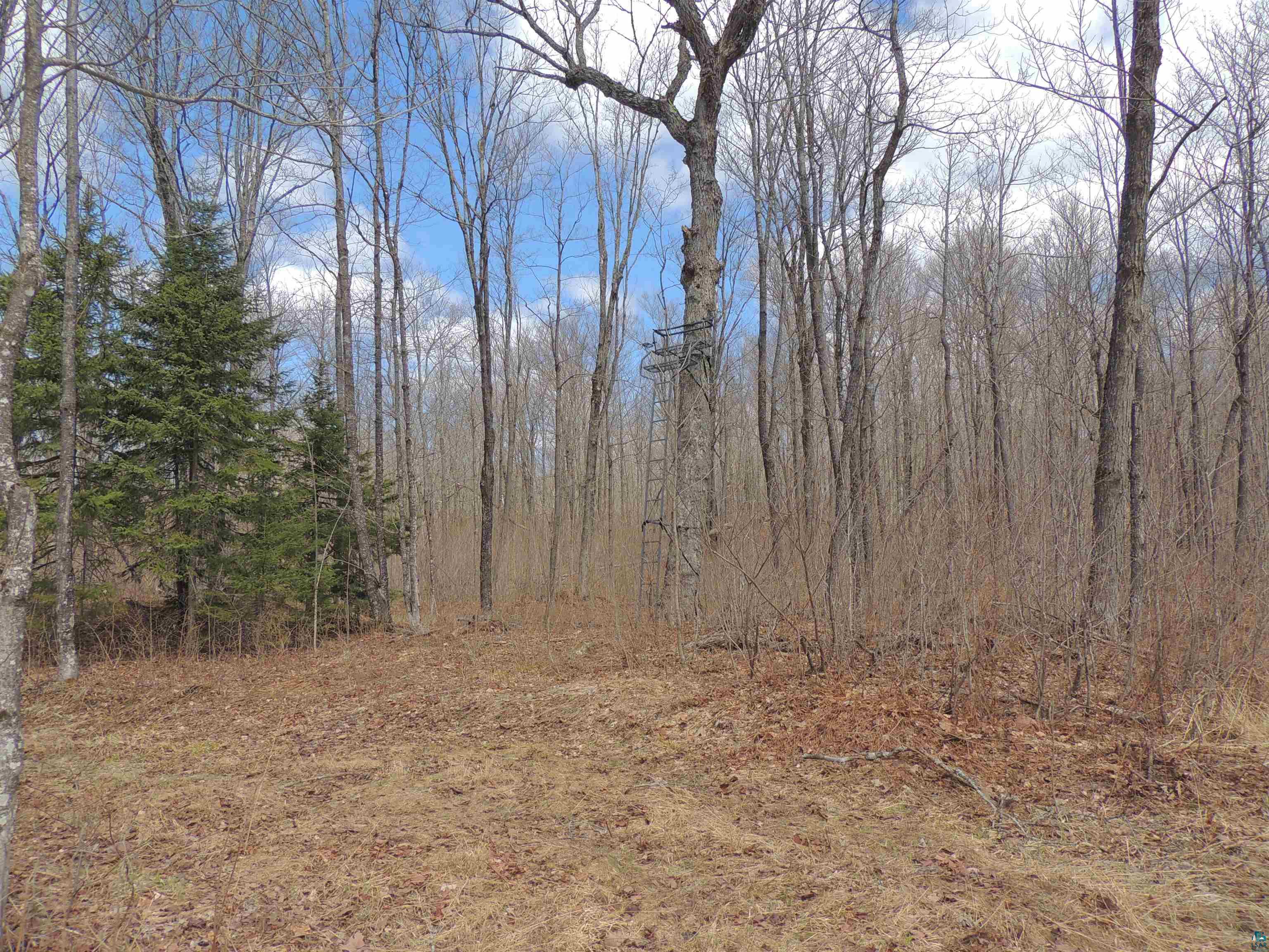 XXX Springdale Rd Tofte MN 55615 6124939 image17