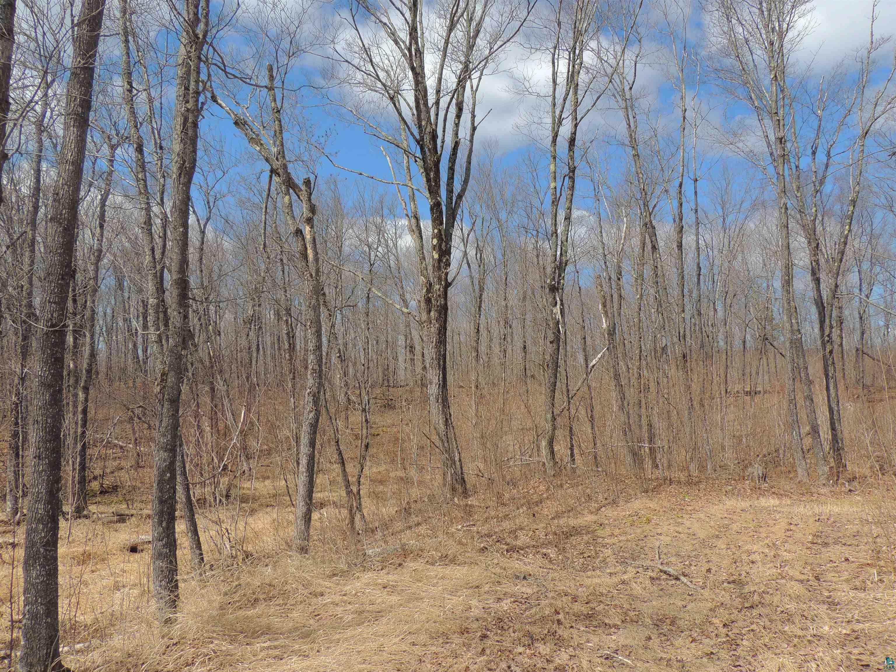 XXX Springdale Rd Tofte MN 55615 6124939 image19