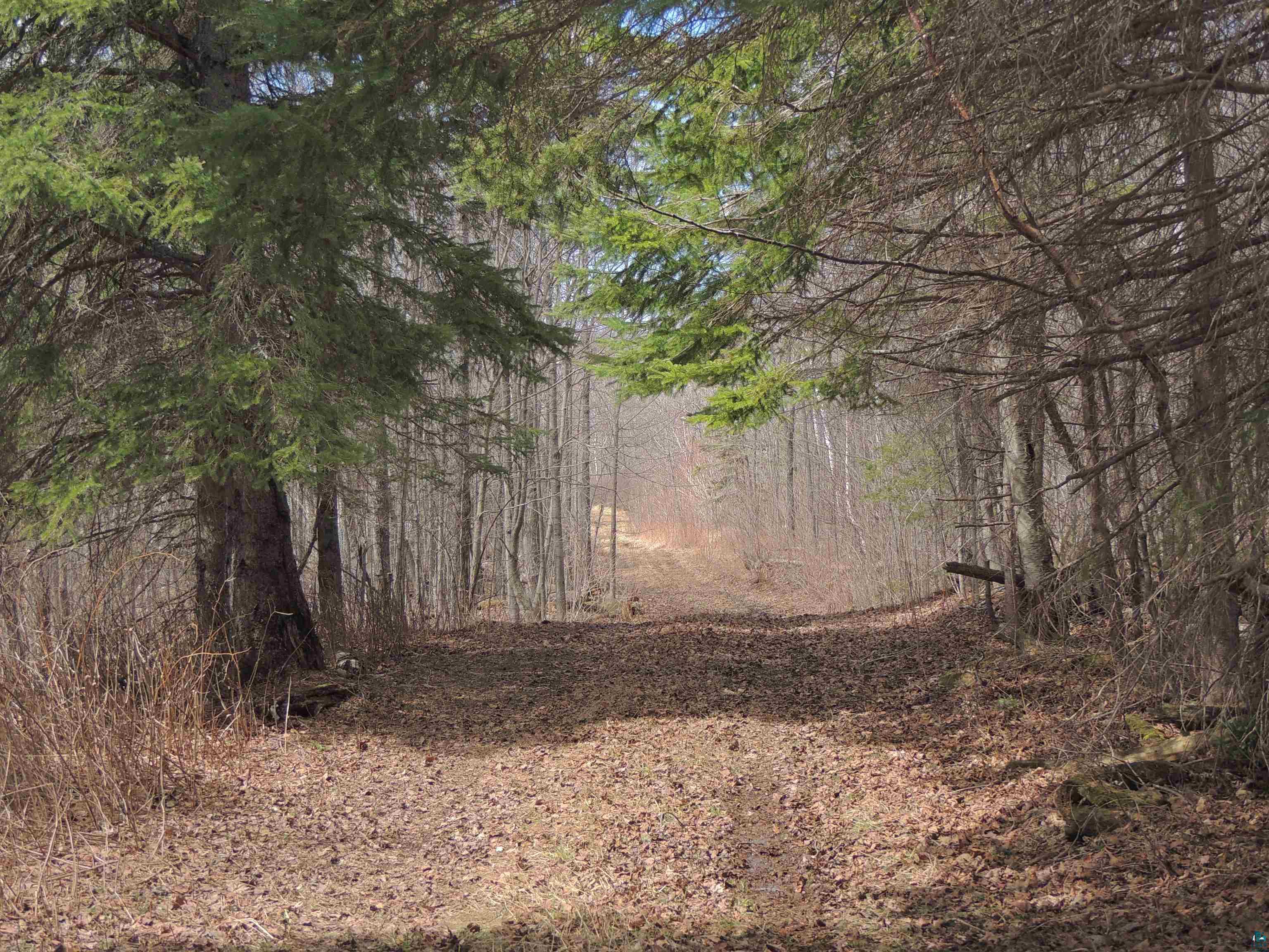 XXX Springdale Rd Tofte MN 55615 6124939 image2