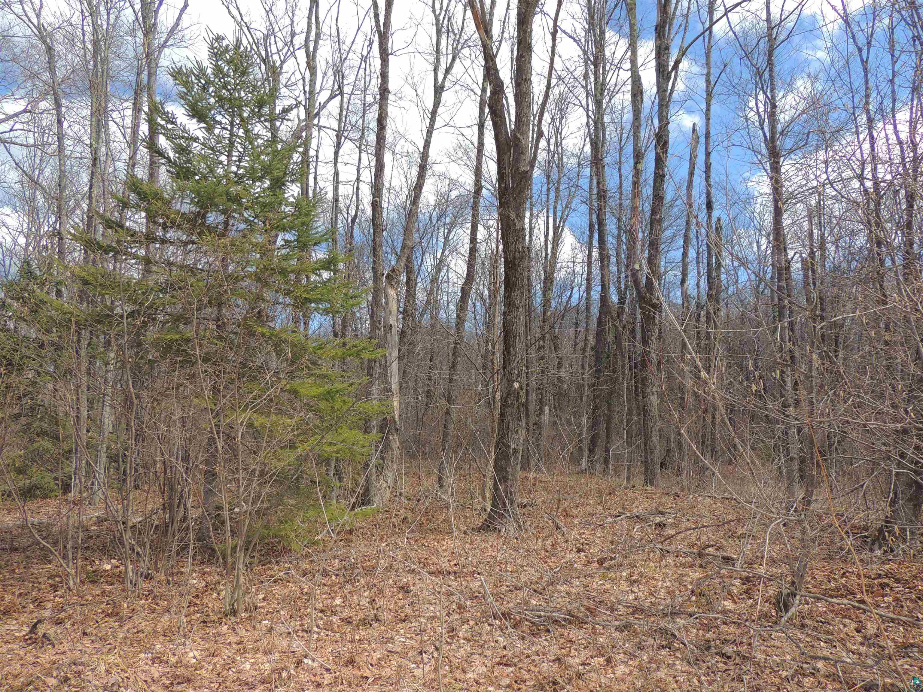 XXX Springdale Rd Tofte MN 55615 6124939 image21