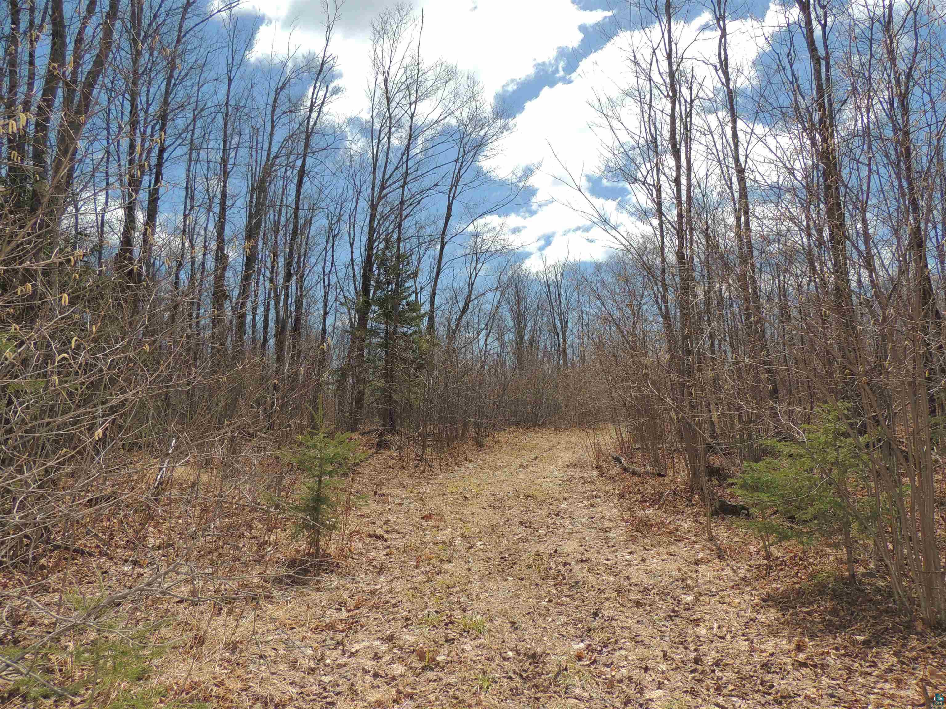 XXX Springdale Rd Tofte MN 55615 6124939 image23